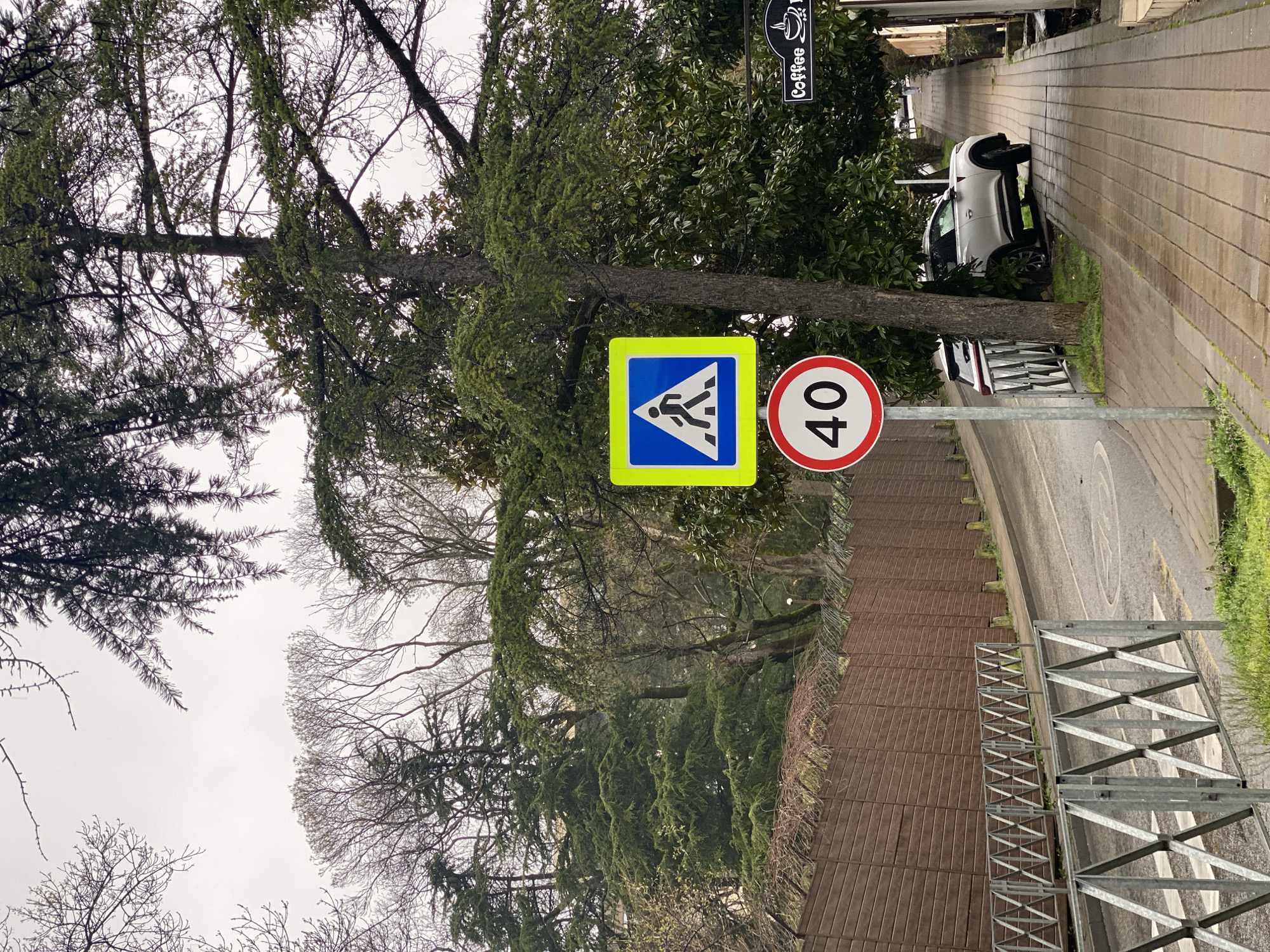 The image displays an urban street scene in Sochi, Russia, under an overcast, light gray sky. A wet asphalt road, marked with faded yellow pedestrian crossing stripes, gently ascends from left to right. To the left of the road, a tall, reddish-brown wooden plank fence topped with barbed wire extends into the background. A silver metal guardrail with an X-pattern design runs along the road's edge in the left foreground.
On a narrow strip of grass between the road and a paved sidewalk on the right, a metal pole stands supporting two road signs: an upper square sign with a blue background, a white pedestrian figure, and a bright yellow border, denoting a pedestrian crossing; and a lower circular white sign with a red border displaying the number "40" in black, indicating a speed limit.
A tall evergreen tree with dark green foliage grows immediately behind the road signs. Various other trees, including both coniferous and bare deciduous species, populate the background and line the street. On the right side, a white SUV is parked with its front wheels on the paved sidewalk, partially obscured by a tree. Further down the sidewalk, an oval black sign with the word "Coffee" in white and a white coffee cup icon hangs from a building facade. No people are visible in the scene.