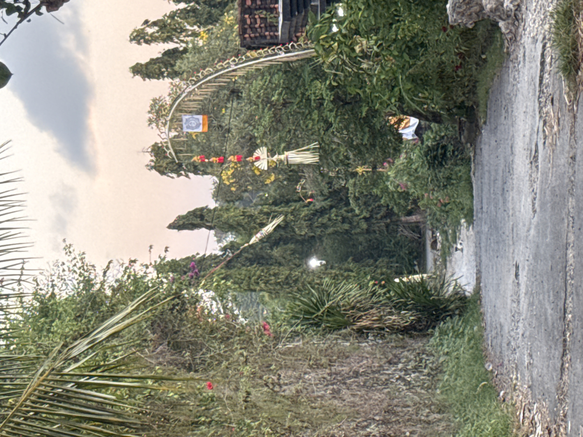 The image depicts a decorative arched entryway adorned with festive garlands and flags, suggesting a cultural or religious celebration. The scene is lush with dense green foliage, including palm fronds in the foreground and trees lining a paved pathway. The pathway itself is uneven, hinting at a rural or less developed area.
The decorations include a white flag with intricate blue and orange patterns, suspended within the arch. Further along, strings of red and yellow flowers, along with woven straw ornaments, hang across the path, creating a vibrant, celebratory atmosphere. A tall, stylized straw decoration is particularly prominent.
The lighting suggests it is either early morning or late afternoon, with soft, diffused light illuminating the scene. The sky is overcast, with large, pale clouds. The overall impression is one of tranquil beauty and cultural festivity, likely taking place in a tropical setting. Given the provided location context of Kuta Selatan, Indonesia, this scene is likely a celebration, possibly related to a Hindu festival, common in Bali. There are no visible people in the image, focusing instead on the ornate decorations and the natural surroundings.