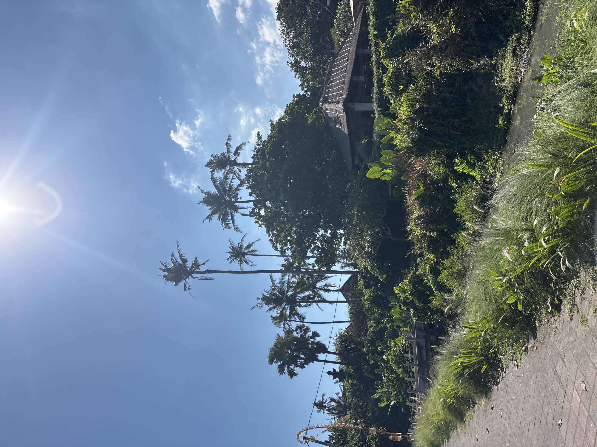 A paved walkway runs along the left side of the image, bordered by lush green grass and foliage. To the right of the walkway, a narrow waterway is visible. Beyond the waterway, dense vegetation covers the landscape, with several palm trees and other tropical plants reaching towards a bright blue sky. A traditional Balinese building with a thatched roof and a stone structure are nestled among the trees. The sun shines brightly, casting rays through the upper right portion of the frame. A decorative Balinese offering, known as a "canang sari" or similar, is positioned on a pole to the far left, adorned with flowers and colorful ribbons. The scene appears to be in a tropical environment, likely in or near Mengwi, Indonesia, given the architectural style and vegetation.