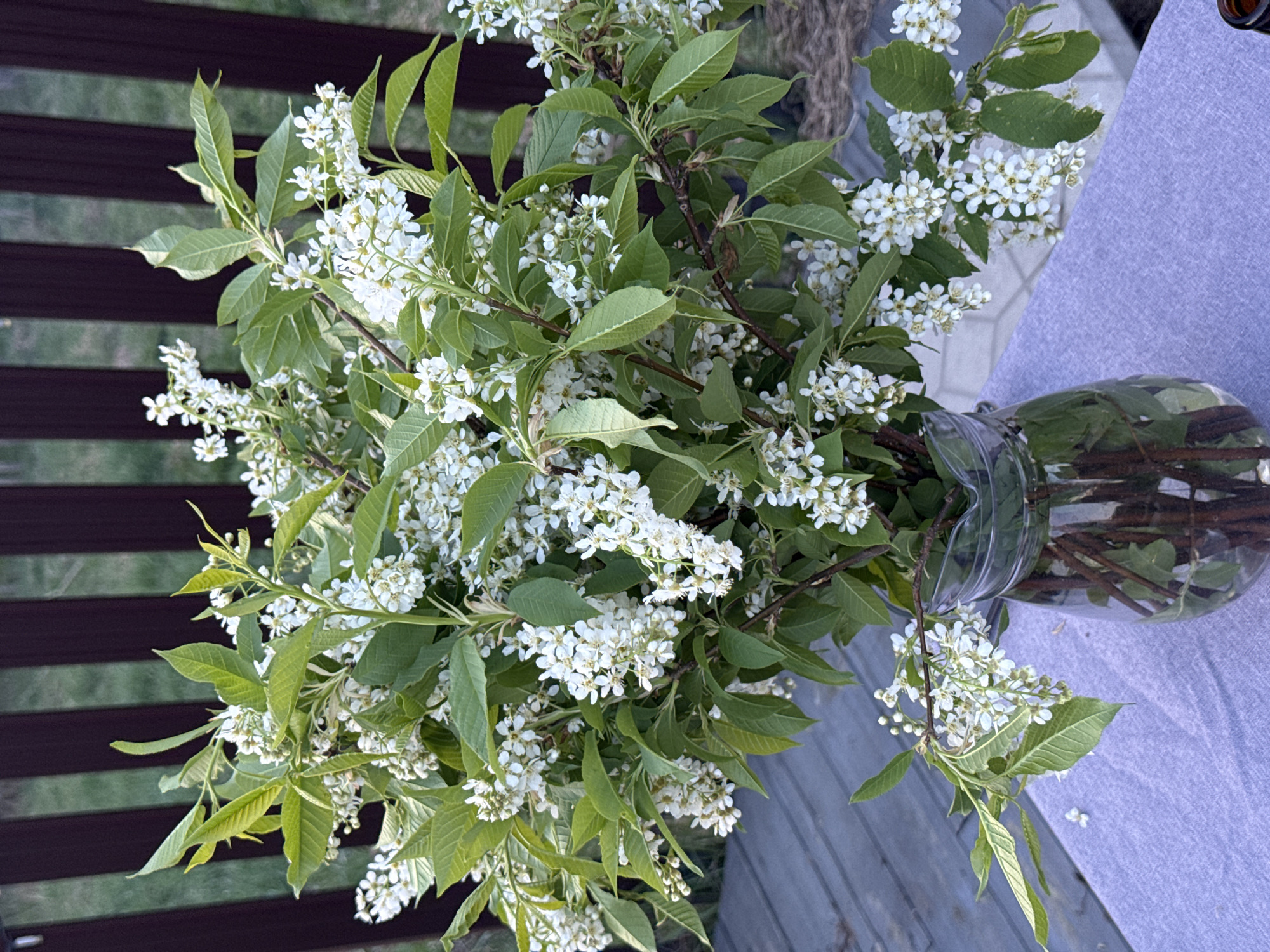A top-down view captures a floral arrangement featuring branches with green leaves and small white flowers. The branches are arranged in a clear glass vase filled with water. The arrangement sits on a surface with visible wood grain, part of a fence, and a lilac-colored tablecloth. The image does not contain any people. There is no indication in the image that it was taken in Izhevsk, Russia.