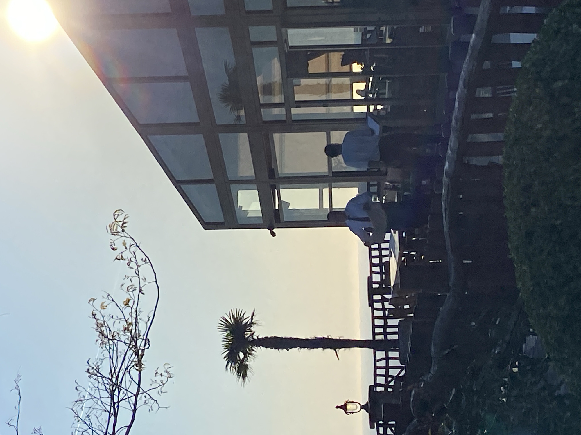 An outdoor dining area in Kovačko Polje, Montenegro, is captured at twilight. Two men in light-colored shirts are seated under a glass-roofed structure with visible support beams. Tables and chairs are aligned, suggesting a restaurant setting. A palm tree is positioned in the foreground, with a leafless tree to its left. A street lamp is visible near the palm tree. Dense foliage is situated on the right side of the frame. The sky is pale, with a bright sun in the upper left corner.