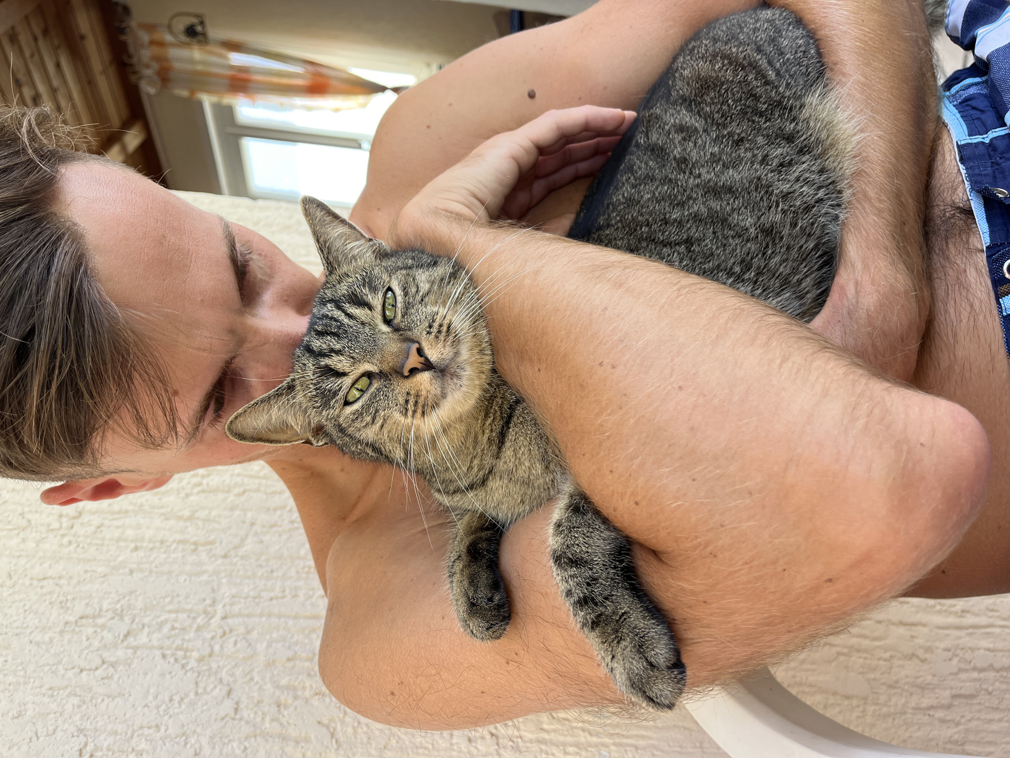 A person, shirtless and wearing blue and white checkered swim trunks, is holding a tabby cat. The person's arms are wrapped around the cat, which is nestled against their chest. The cat's head is turned towards the camera, and its green eyes are visible. The background suggests an outdoor setting, possibly a porch or balcony, with a textured wall to the left and windows with curtains visible in the distance. The scene appears to be in Šušanj, Montenegro, given the context provided.