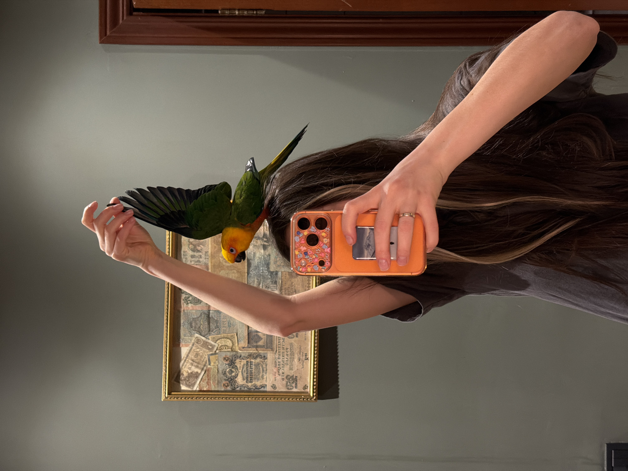 A person is taking a selfie in front of a framed collage of old banknotes, with a colorful parrot perched on their hand. The person is holding an orange phone case, with their long brown hair partially obscuring their face. The background includes a gray wall and a wooden frame. The image does not contain any information about the location in the city of Khimki, Russia.