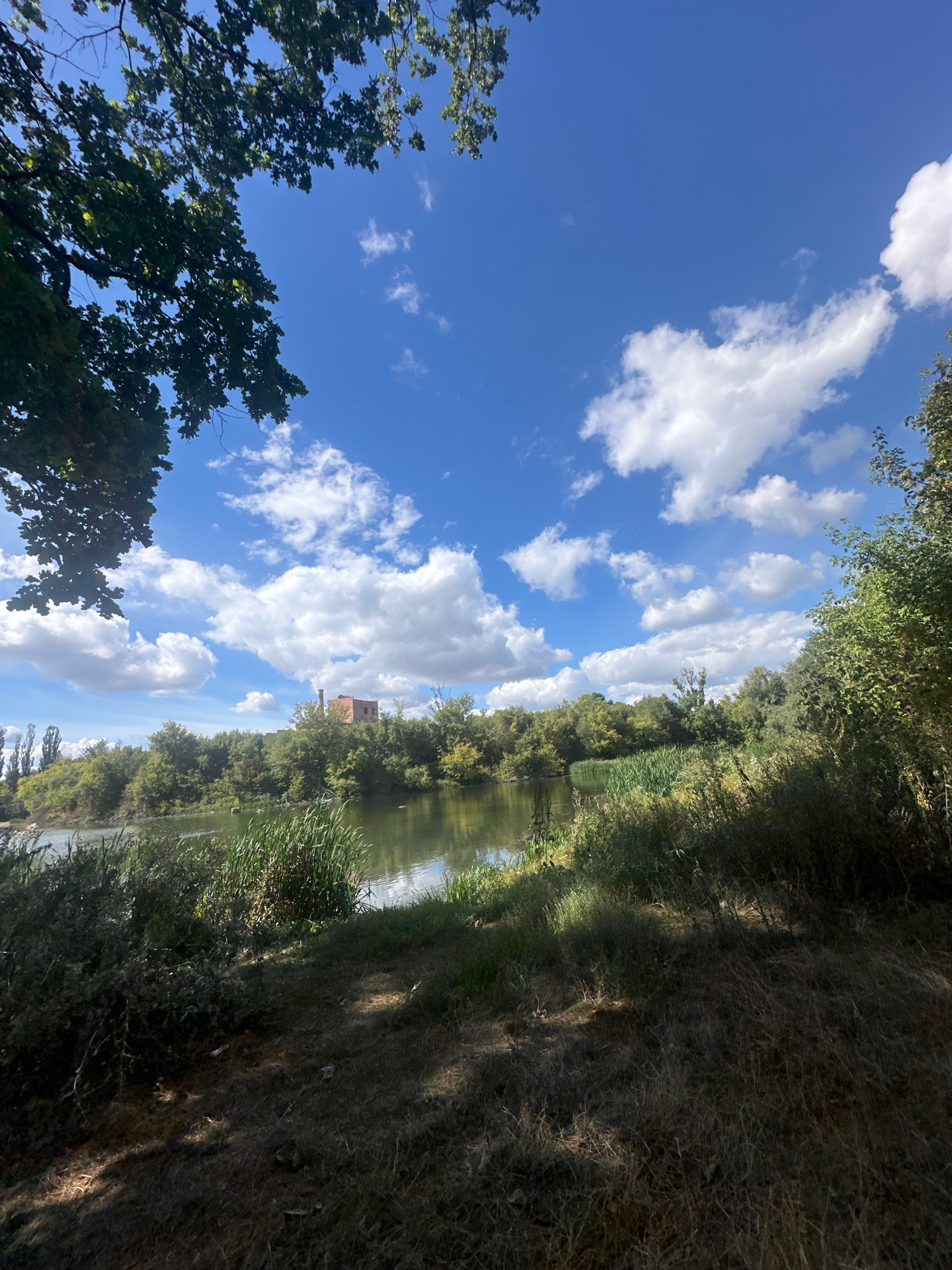 The image shows a body of water, likely a river or lake, surrounded by dense vegetation on a bright, sunny day. The sky is a vibrant blue, dotted with fluffy white clouds. Trees and reeds line the banks of the water, with taller trees forming a backdrop. In the distance, a brick building with a chimney is visible on a slight rise above the tree line. The foreground consists of dry, matted grass and some shadows cast by unseen trees. The scene is natural and appears to be a rural or semi-rural area. This specific location is in the city of Makiv, Ukraine.