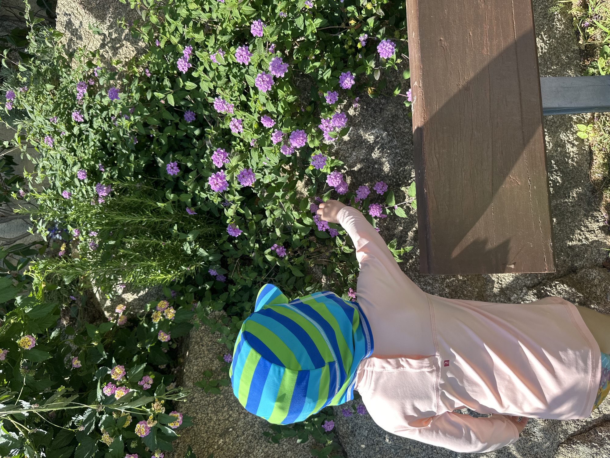 A toddler, wearing a pink long-sleeved shirt and a blue and green striped sun hat, reaches out towards a cluster of small purple flowers. The child is standing near a rock wall overgrown with green foliage and blooming purple and yellow flowers. A portion of a brown wooden bench is visible in the foreground. The scene appears to be outdoors, possibly in a garden or park in Sant Feliu de Guíxols, Spain.