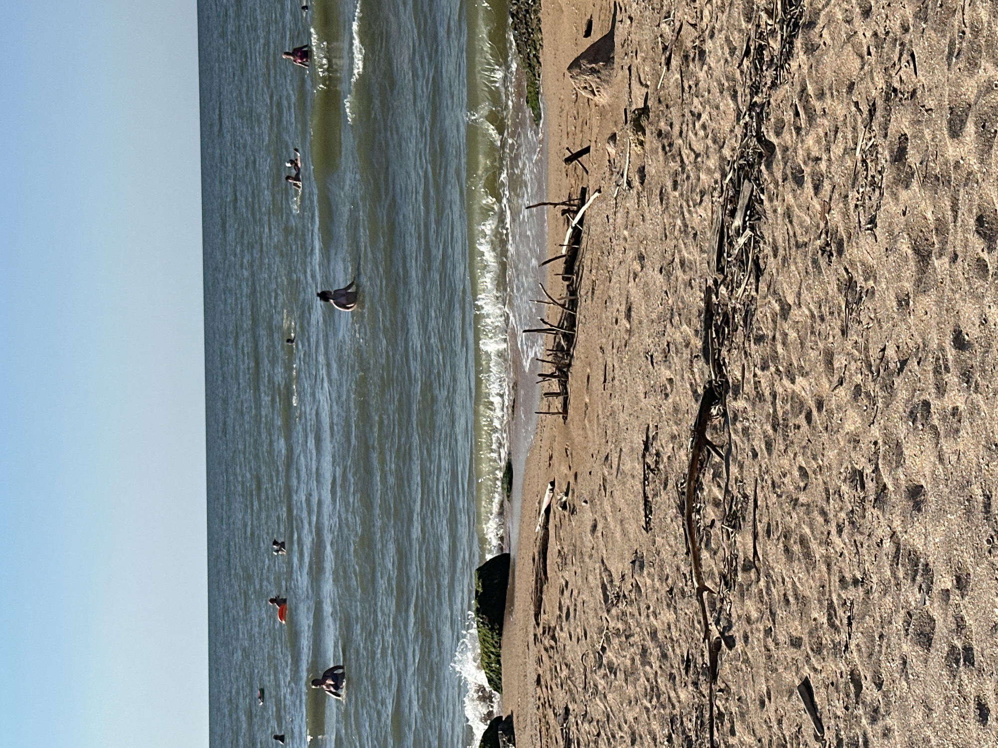 In Golubitskaya, Russia, a beach scene unfolds under a clear blue sky. The foreground is dominated by a sandy beach littered with driftwood and small stones. Waves gently lap at the shore, creating white foam as they break over dark, moss-covered rocks. In the middle ground, several people are visible in the water. Some are swimming, while others are floating on inflatable rings. A woman in a dark swimsuit stands in the water in the foreground left, looking towards the ocean. Further out, a woman in a pink bikini wades in the water, while another individual with a white cap is on a floating device. The water is a murky green-blue, with small waves and ripples. The horizon is a sharp line between the sea and the sky, indicating a calm day.