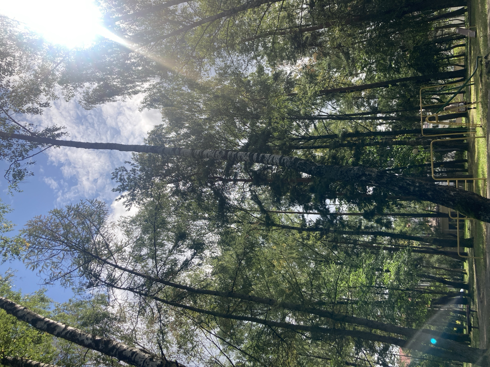 In an outdoor park in Baranavichy, Belarus, a child is playing on a swing set. The child, wearing a patterned dress, is on the swing. A slide and a small seesaw are also part of the playground equipment. The area is surrounded by a dense forest of tall trees, with a clear blue sky dotted with clouds visible overhead. The sun shines brightly through the leaves, creating lens flare in the image. A building can be seen in the background through the trees.