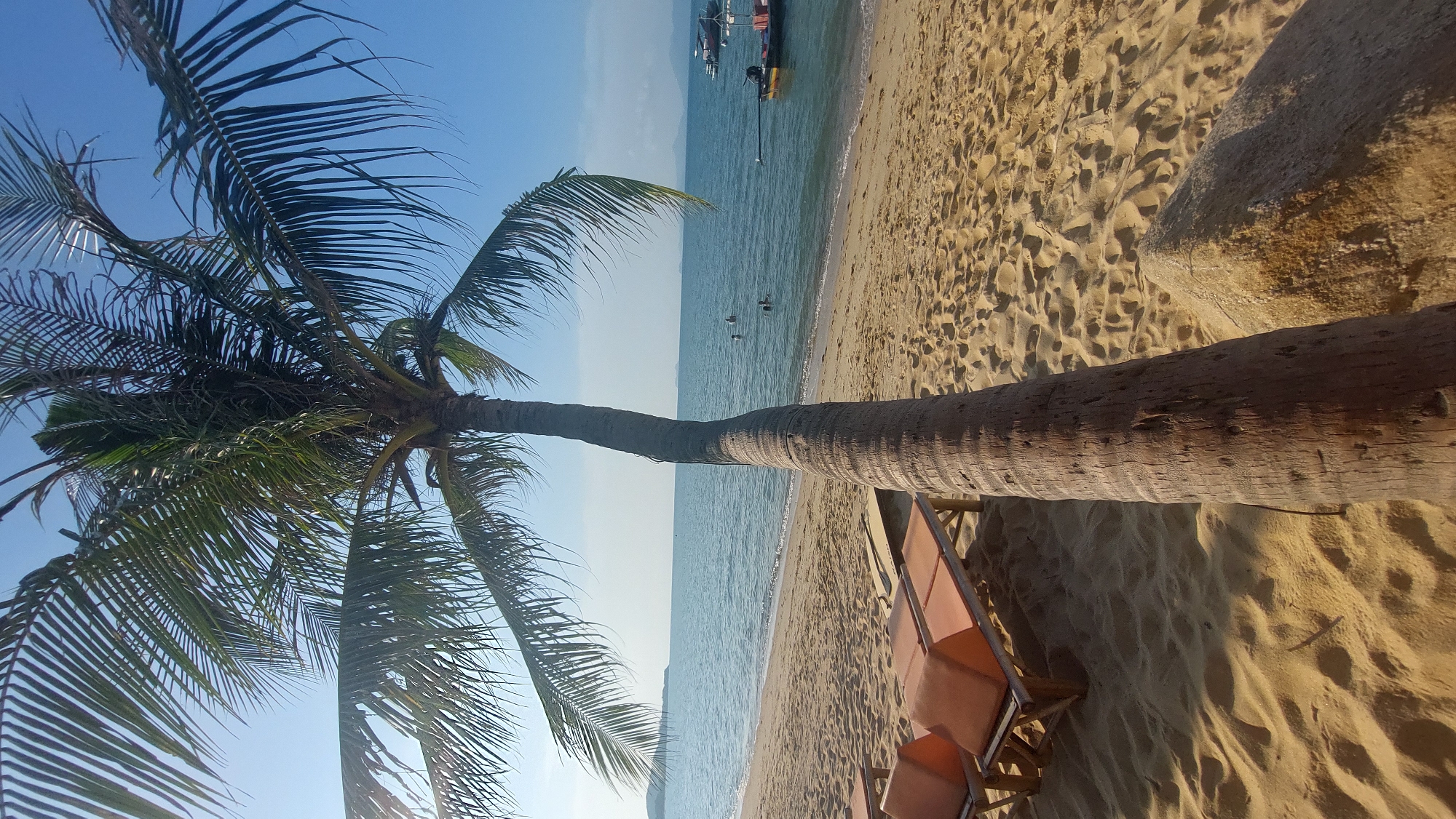 This image captures a serene tropical beach scene, likely in Baan Mae Nam, Thailand.
A prominent palm tree dominates the left side of the frame, its robust, textured brown trunk extending horizontally across the middle of the photograph. The palm's vibrant green fronds fan out against a clear, bright blue sky in the upper left, with sunlight occasionally glinting through the leaves. The tree is rooted in the soft, golden sand that forms the foreground and stretches along the shoreline, marked with natural ripples and subtle footprints.
To the right of the palm tree, the tranquil turquoise ocean meets the sandy beach, with gentle waves softly lapping at the shore. Several small figures are visible further out in the calm water, appearing to be swimming or wading. In the upper right quadrant, a traditional longtail boat, characteristic of Thailand, is anchored alongside a few other smaller vessels. A faint outline of distant land is discernible on the horizon, adding depth to the seascape.
In the bottom right corner, a portion of a wooden beach chair with orange fabric is visible, inviting relaxation. The bright, clear lighting indicates a sunny day, likely late morning or early afternoon, contributing to the idyllic atmosphere. The weather is clear, and the sea is calm. There is no visible text in the image. The overall scene evokes feelings of peace, relaxation, and a quintessential tropical paradise vacation.