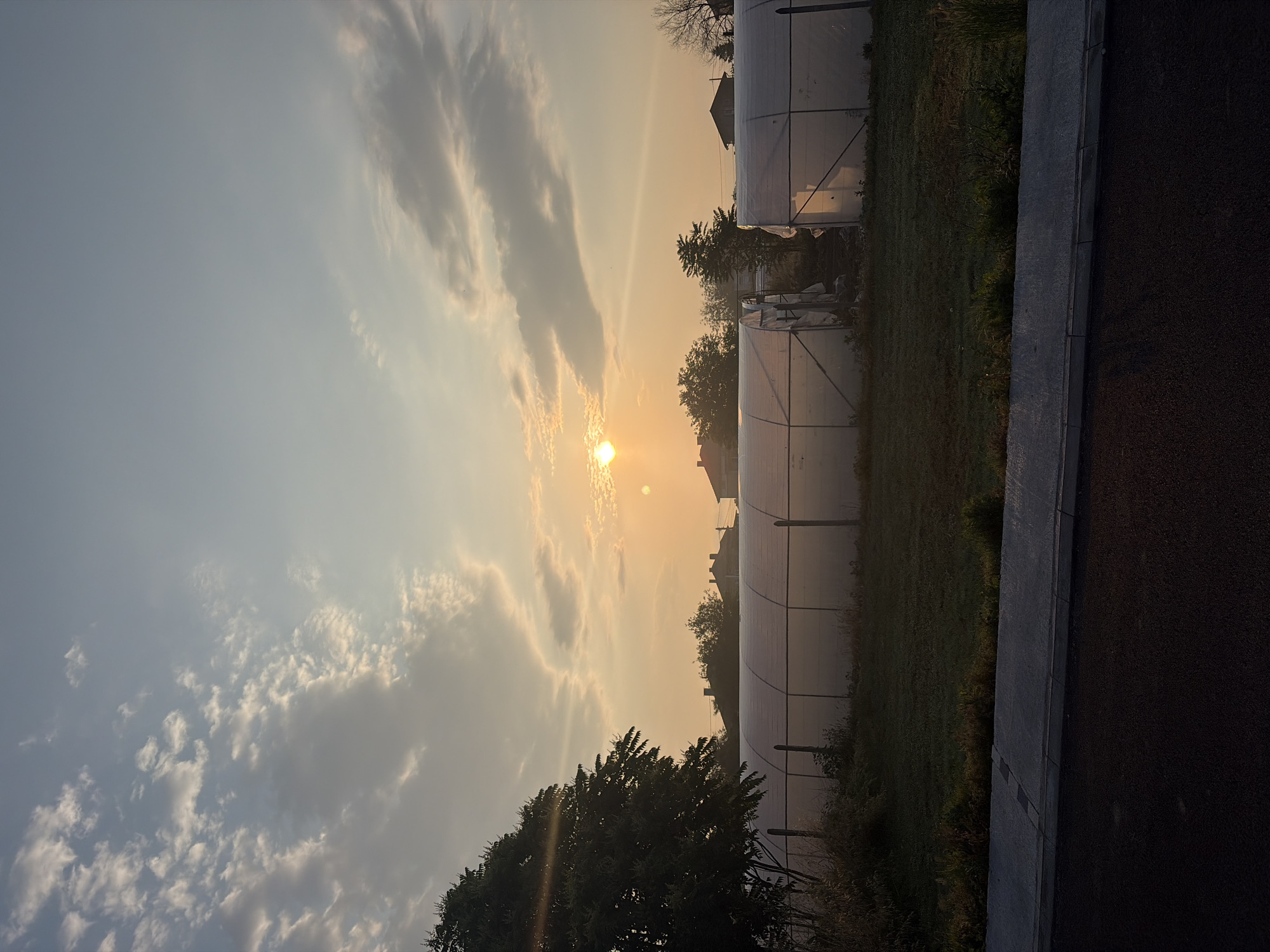 The media file, currently displayed rotated 90 degrees clockwise, presents a tranquil rural or semi-rural landscape during either sunrise or sunset in Rakovski, Bulgaria.
The upper portion of the scene (left side of the rotated image) is dominated by the sky, transitioning from a hazy light blue/gray on the left to a warm, golden-orange hue towards the right. The sun, a bright and distinct orb, is positioned low in the right-center of the sky, partially obscured by thin, scattered clouds that stretch horizontally across the frame. More diffused clouds are visible in the bluer sections of the sky.
In the middle ground, several large, tunnel-shaped structures, appearing to be agricultural greenhouses or polytunnels covered in translucent white material, extend horizontally. Behind and between these structures, the dark silhouettes of various trees, some with dense foliage and others appearing bare, are visible. Hints of distant residential buildings can also be discerned through the atmospheric haze, silhouetted against the bright sky.
The foreground (bottom of the unrotated image, right side of the rotated image) features a dark, textured asphalt or paved surface running horizontally, separated by a light gray concrete curb from a strip of green grass and wild vegetation.
No people or specific activities are depicted in the image. The overall impression is one of peaceful natural beauty, accentuated by the warm, soft light of early morning or late evening. There is no visible text within the image.
