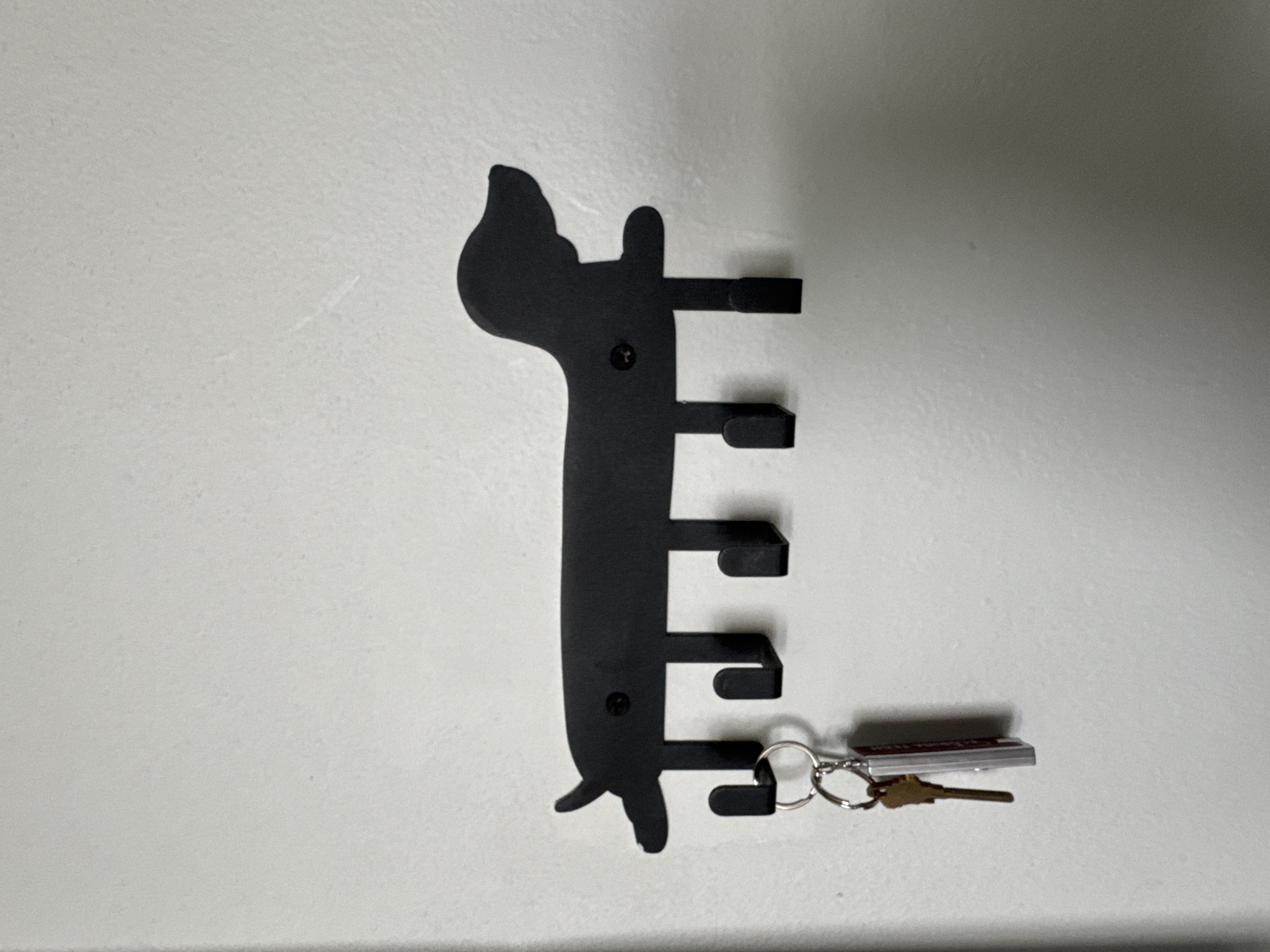 An outdoor shot shows a black dachshund-shaped key holder mounted on a white wall. The key holder has five hooks, with a set of keys hanging from the leftmost hook. The keys consist of a silver ring, a brass-colored key, and a rectangular tag. The key holder is secured to the wall by two screws, one visible near the dog's head and the other near its tail. The background is a plain white wall with some subtle texture. The location is Viera, United States of America.