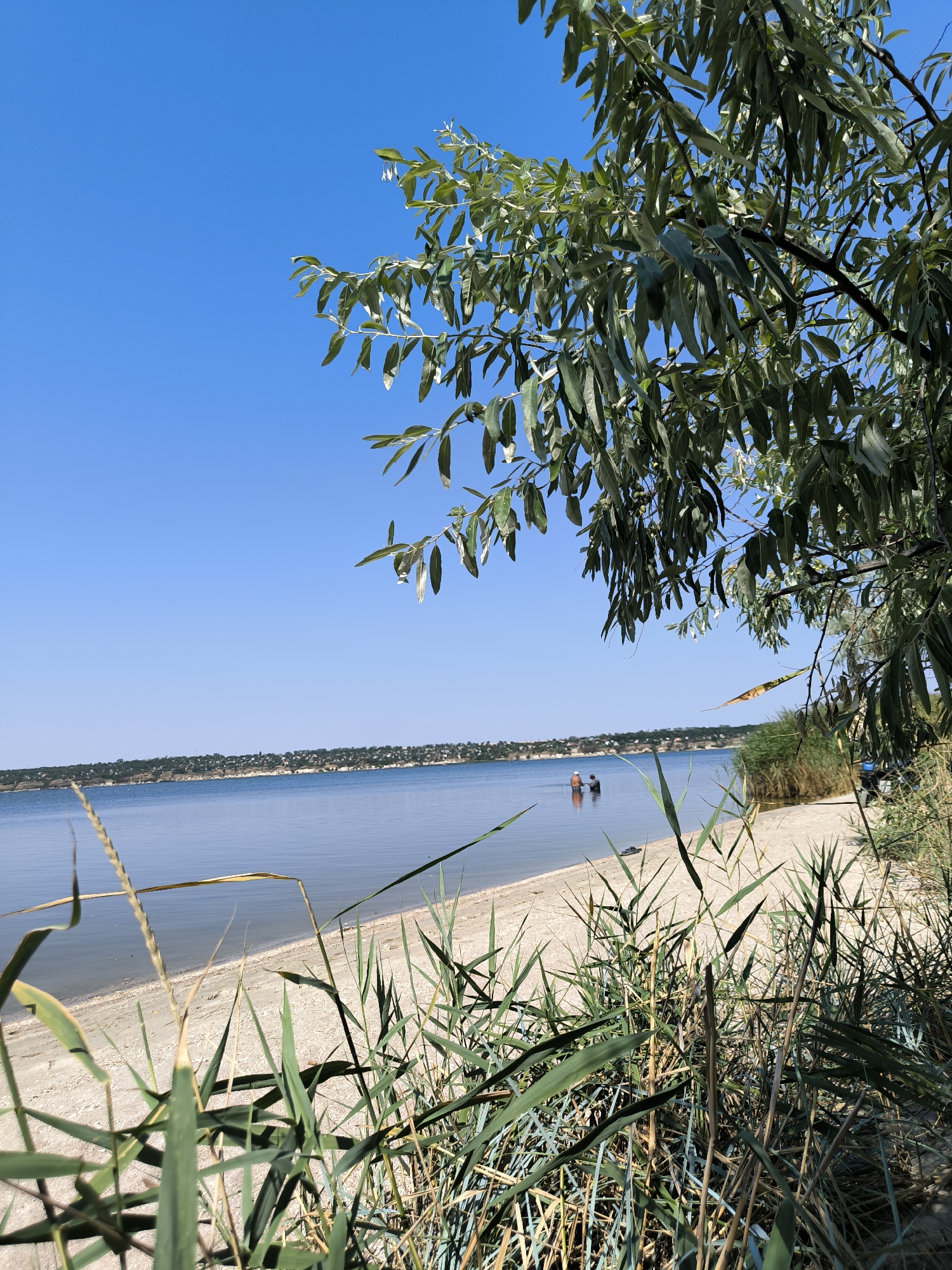 The image depicts a serene waterscape with a sandy beach and lush vegetation in the foreground. A calm body of water stretches towards a distant, tree-lined shore dotted with buildings, suggesting a suburban or rural settlement. Two individuals are visible in the shallow water, wading or standing. The sky is a clear, vibrant blue, indicative of a sunny day. The overall scene evokes a sense of tranquility and outdoor recreation. This scene is likely the Kinburn Spit, a UNESCO World Heritage site and a natural reserve located in Mykolaiv Oblast, Ukraine, known for its sandy beaches, pine forests, and unique ecosystem.