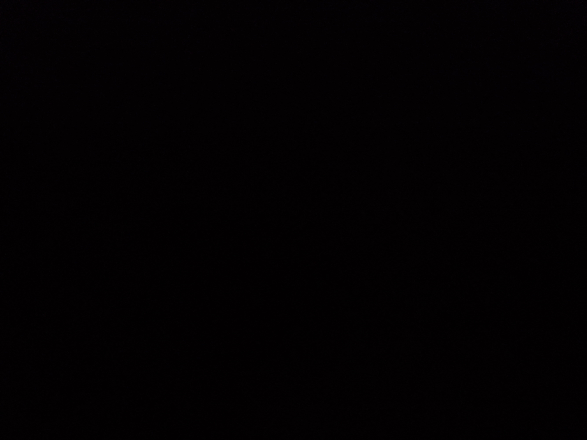 I cannot provide a description of the image as it is completely black. There is no discernible content to describe.