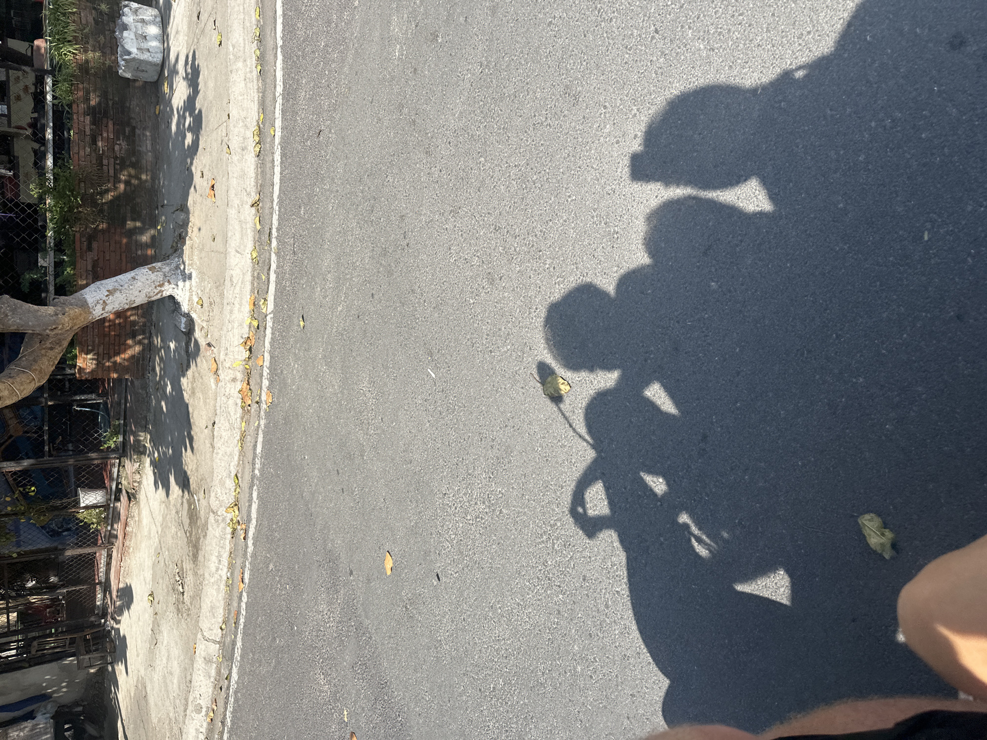 The image shows a street scene in Bac Nha Trang Ward, Vietnam. A gray asphalt road occupies most of the frame, with a sidewalk running along the left edge. A tree with a whitewashed trunk stands along the sidewalk, casting shadows onto the pavement. A building with a fence is visible on the left side. The shadow of a person riding a motorbike is cast on the right side of the road. Scattered leaves lie on both the road and sidewalk.