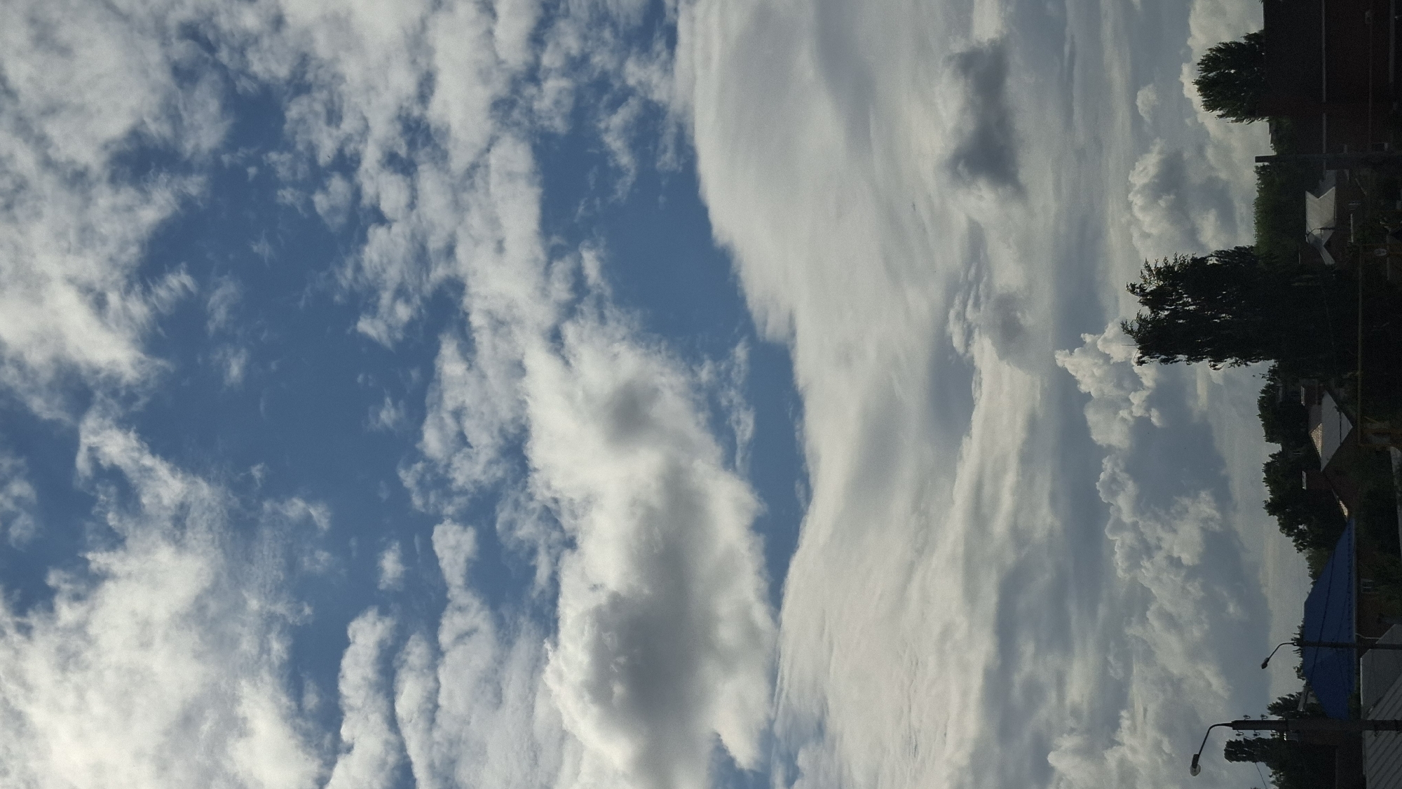 The image displays a daytime sky over Novaya Vasil'evka, Russia, characterized by a complex cloudscape and a low horizon line revealing elements of a residential settlement.

The sky occupies approximately 75-80% of the frame. It features a mix of white and grey cumulus clouds, varying in density and altitude. Patches of clear, deep blue sky are visible, particularly in the upper-right quadrant and extending into the mid-left. Some clouds exhibit bright white illumination, suggesting direct sunlight, while others are darker grey underneath or within their mass, indicating shadow and thickness. A notable layer of more stratified, elongated grey clouds is present across the middle and lower sky, creating a sense of depth and multiple cloud layers.

The bottom 20-25% of the image depicts a horizon line composed of structures and vegetation. Several rooftops are visible, including one prominent house with a bright blue roof on the lower-left. Other rooftops are grey or reddish-brown. Numerous trees with dark green foliage are present, forming a canopy along the horizon and including at least one tall, slender tree in the lower-right-center. Two utility poles, one equipped with a street light, are visible on the far left. No individuals, animals, or vehicles are discernible within the frame. The overall scene suggests a partly cloudy day over a residential or semi-rural area.