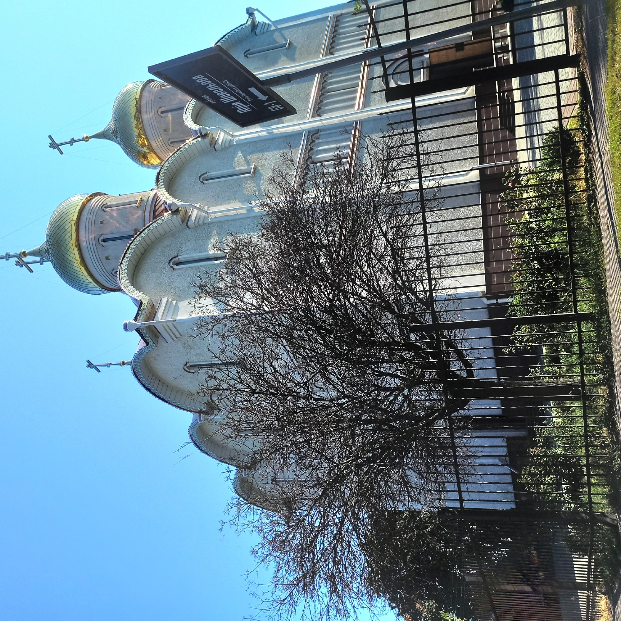 This is a low-angle shot of a white church with golden domes, set against a clear blue sky. In the foreground, a black metal fence runs across the image, with a bare tree branching out behind it, obscuring part of the church's facade. To the right of the church, a dark street sign is visible, angled upwards and to the left. The sign has text in both Cyrillic and Latin alphabets, indicating "вулиця Юрія Шевельова 58-1" (Street Yuriy Sheveliov 58-1). The church features arched windows and ornate decorative trim along its roofline. The scene appears to be a daytime exterior shot. This is the Church of the Holy Myrrh-Bearers of the UOC-MP, located on Yuriy Sheveliov Street, 58-1, in Kropyvnytskyi, Ukraine.