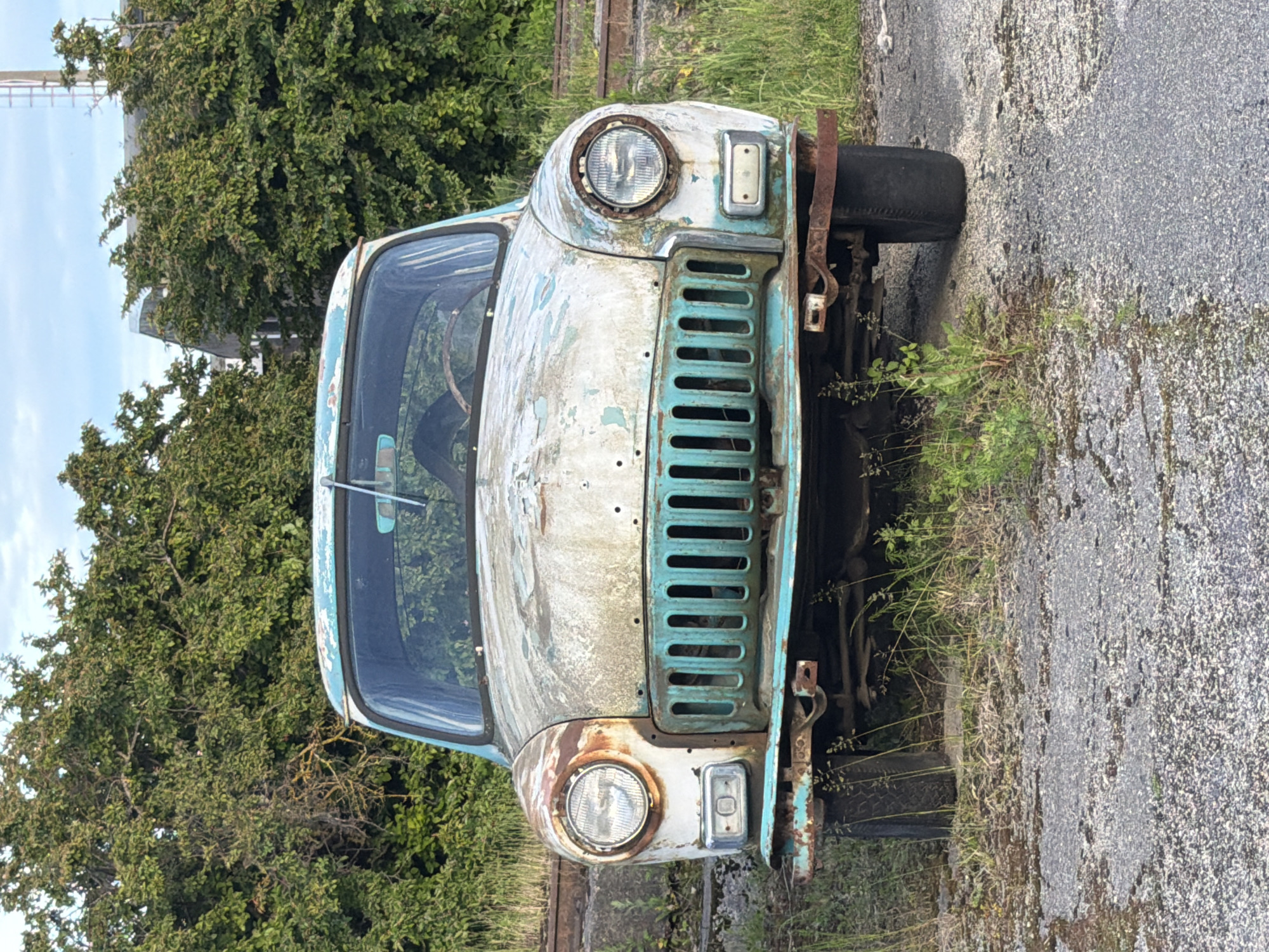 A front-facing, full shot captures a dilapidated, vintage car in a state of extreme disrepair. The vehicle, likely a GAZ-21 Volga, is parked on a cracked asphalt surface surrounded by overgrown grass and dense green foliage. The car's exterior is heavily weathered, with large patches of peeling white paint revealing rust underneath, and a turquoise grill that is also showing signs of decay. The headlights are intact but rusted around the edges, and the windshield is visible but dusty. The overall impression is one of abandonment and neglect. The backdrop consists of a thick wall of green trees and bushes, with a glimpse of a building and a tall metallic structure in the distance under a pale blue sky. This scene is located in Viimsi, Estonia, likely in an area that was once industrial or a storage yard, now reclaimed by nature. There are no people or animals present, and the car appears to be immobile, with its tires partially obscured by grass. The ground surface is a mix of asphalt and gravel.