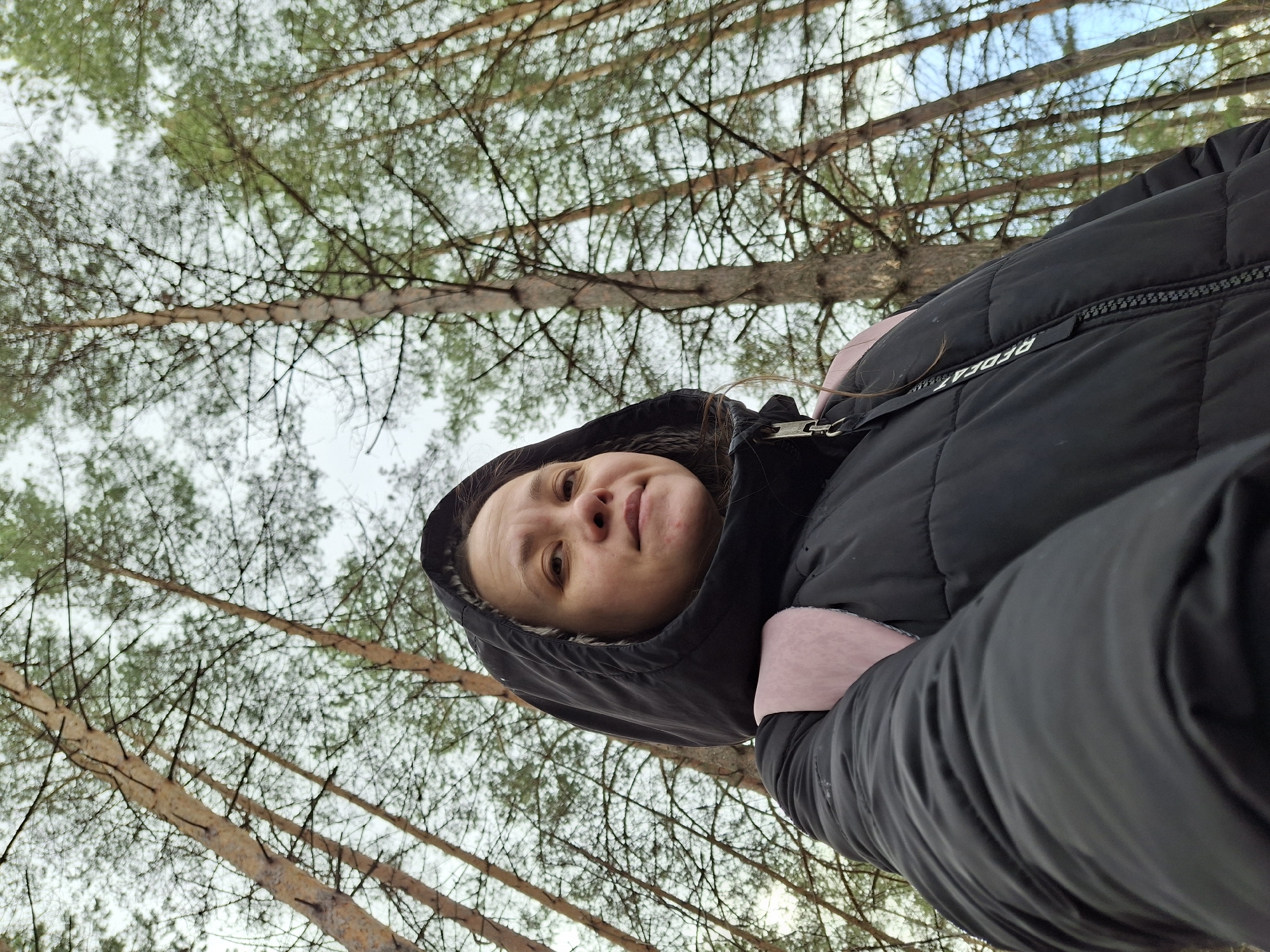 This low-angle, rotated image captures a person looking up towards the camera amidst a pine forest. The camera is oriented approximately 90 degrees clockwise from a standard portrait view, placing the horizon (treeline) vertically on the left.
The main subject is an individual, likely female, positioned in the lower right of the frame, their face tilted slightly towards the camera. She is wearing a black, hooded puffer jacket, with a light pink or peach-colored lining visible around the neck and shoulder area. Her expression is neutral, and some dark hair peeks out from under her hood.
The background consists of a dense stand of tall, slender pine trees, their trunks and branches filling the upper and left parts of the image. Many branches appear bare or have sparse green needles, suggesting a cooler season such as late autumn, winter, or early spring. The sky, visible between the tree branches, is mostly bright and overcast, with a few glimpses of clearer blue sky.
A notable detail is the brand name "REDFEAT" printed in white on a black strap or zipper pull on the person's jacket. The overall scene depicts an outdoor moment in a natural, wooded environment. Given the context, the location is a forest near Chaikovsky, Russia, during daytime.