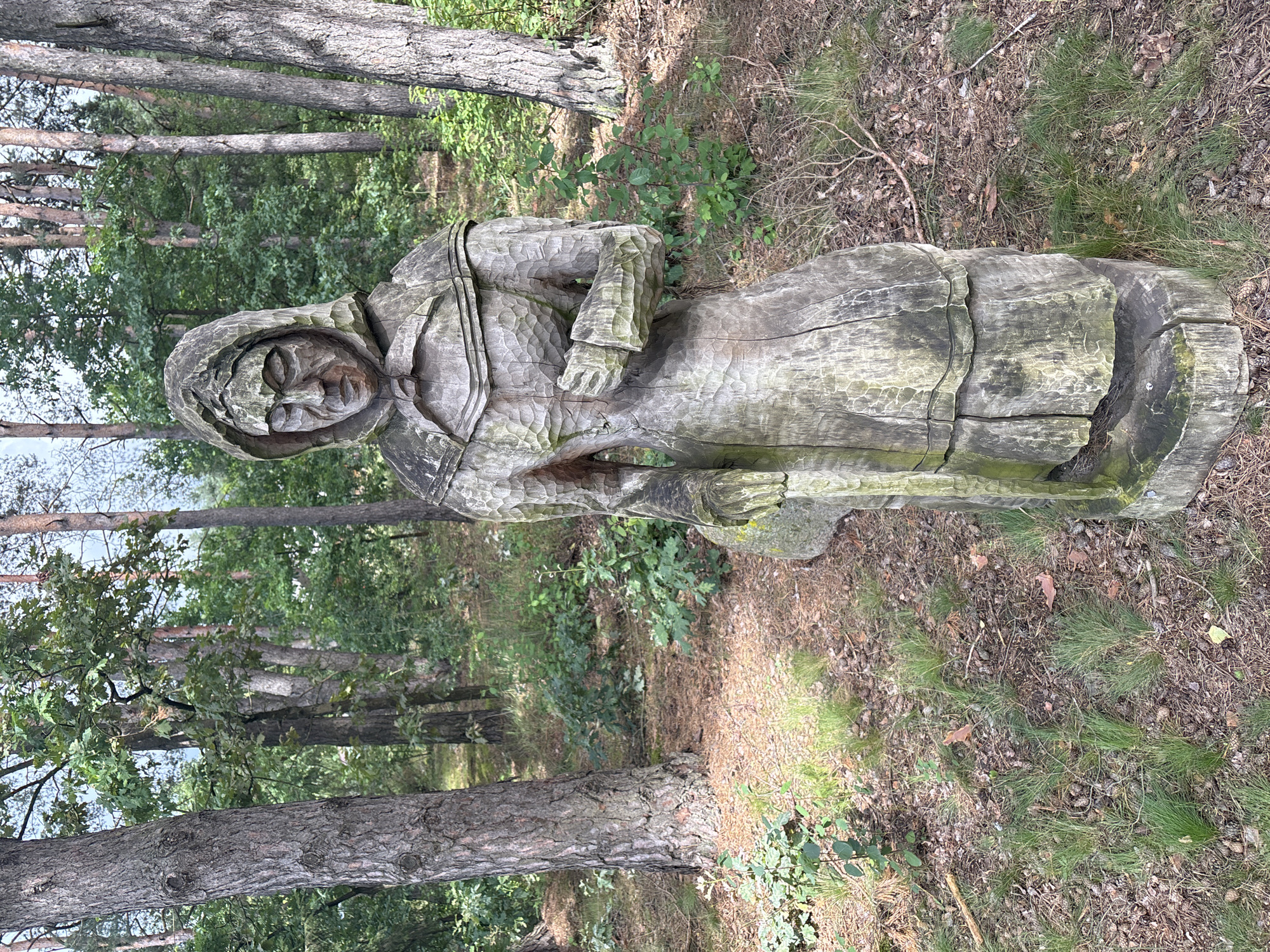 A weathered wooden sculpture of a woman stands in a forest clearing. The sculpture depicts a figure wearing a hooded garment, with carved facial features and textured clothing. The woman appears to be holding a staff or pole in her left hand and has her right hand clasped in front of her. The sculpture is set amidst trees with brown bark and green foliage, with a ground cover of dry leaves, pine needles, and grass. The background consists of more trees and undergrowth, suggesting a natural, outdoor environment. The image was taken in Sielachowskie, Poland.