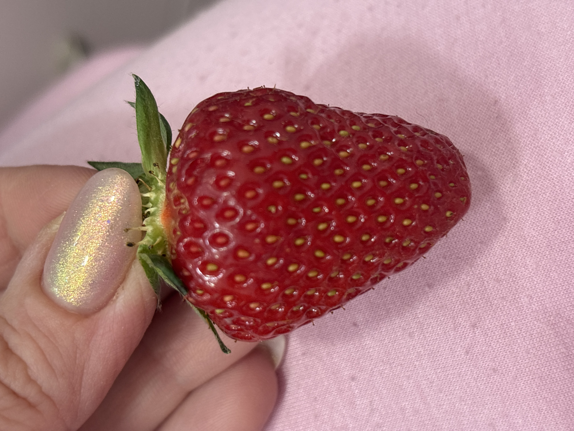 A close-up, eye-level shot features a person's hand holding a fresh, ripe strawberry against a soft pink fabric background. The photograph was taken in Sofia, Bulgaria.
The primary subject is a plump, heart-shaped strawberry, vibrant red and glossy, with numerous small, yellowish-gold achenes (seeds) embedded across its entire surface. Its green calyx and stem are still attached at the top, showing fine, hair-like textures on the leaves.
The strawberry is held by the thumb and fingers of a person's hand, primarily showing the index finger and part of the thumb on the left side of the frame. The visible fingernail, likely on the index finger, is adorned with iridescent, glittery nail polish that shimmers with shades of gold and light pink, reflecting the ambient light.
The background consists of a uniformly light pink fabric, possibly a sheet or blanket, which appears slightly textured with a subtle woven pattern. The lighting is soft, highlighting the natural sheen of the strawberry and the sparkle of the nail polish, suggesting an indoor setting. There is no visible text in the image.