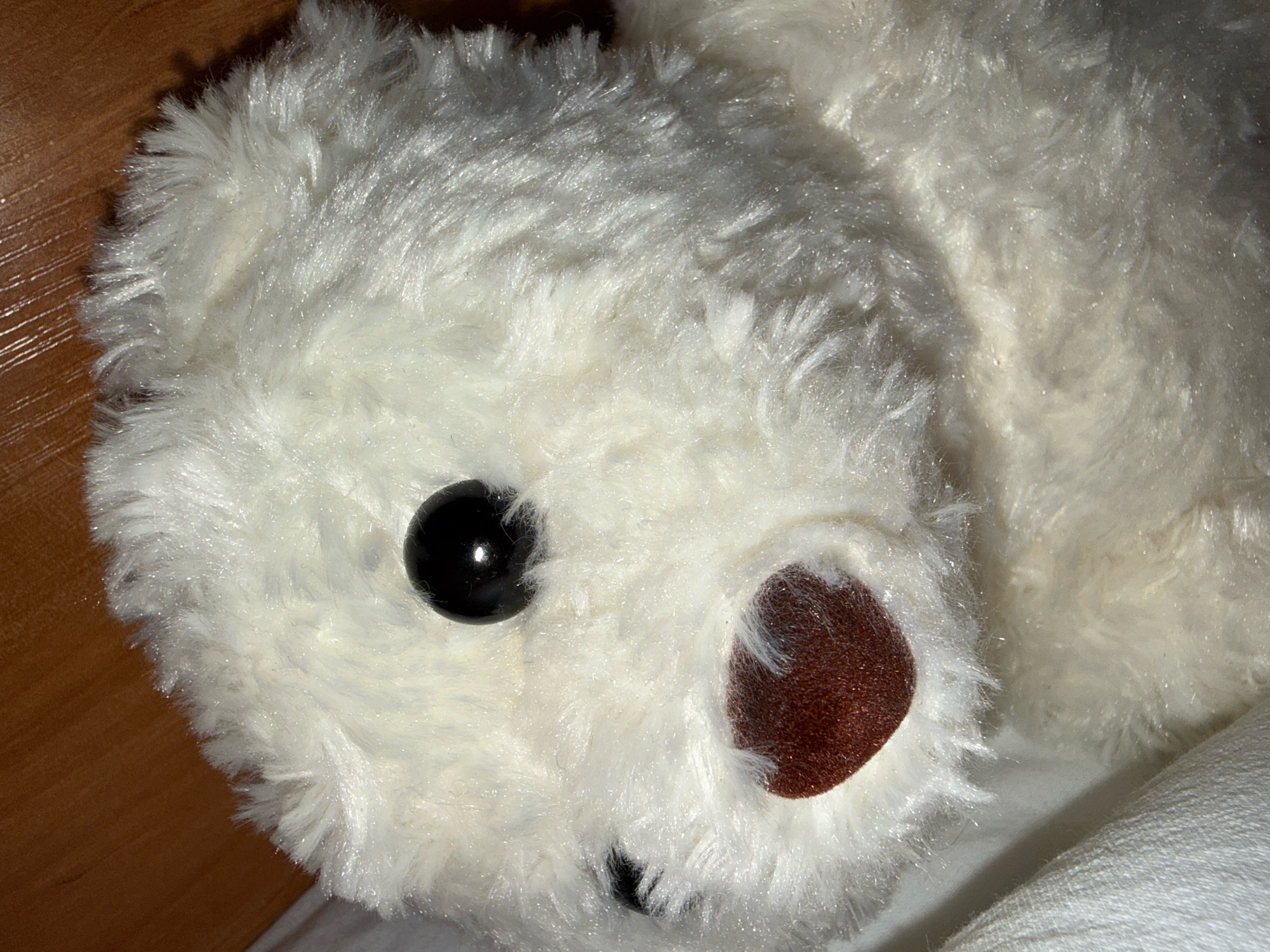 The image shows a close-up of a white, fluffy stuffed animal, likely a bear, lying on a wooden surface and a white fabric. One of its black, beady eyes is prominently visible on the left side of the frame, with a brown, fuzzy nose-like area to its right. The stuffing and fur texture of the toy are clearly discernible, with some light glinting off the fibers. The background suggests an indoor setting, possibly a home environment. There is no indication of any specific location in the city of Zavolzhye, Russia, in the image itself.