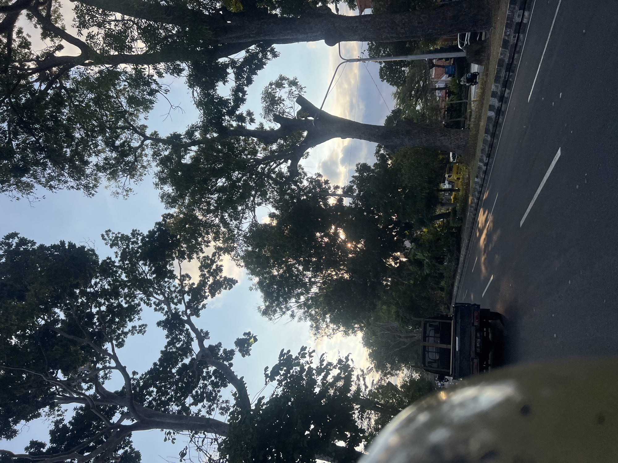 The image depicts a street scene in Denpasar, Indonesia, characterized by tall trees lining the roadway. The perspective is from a vehicle, with a portion of its body visible in the foreground on the left. A dark-colored pickup truck is driving in the same direction on the right lane of the asphalt road, which has white lane markings. Sunlight filters through the dense foliage of the trees, casting long shadows on the road and creating dappled light. In the distance, other vehicles, including a yellow van and a motorcycle with a rider, are visible. The sky is partly cloudy with a pale blue hue. The overall ambiance suggests a late afternoon or early evening setting in a tropical urban environment.
