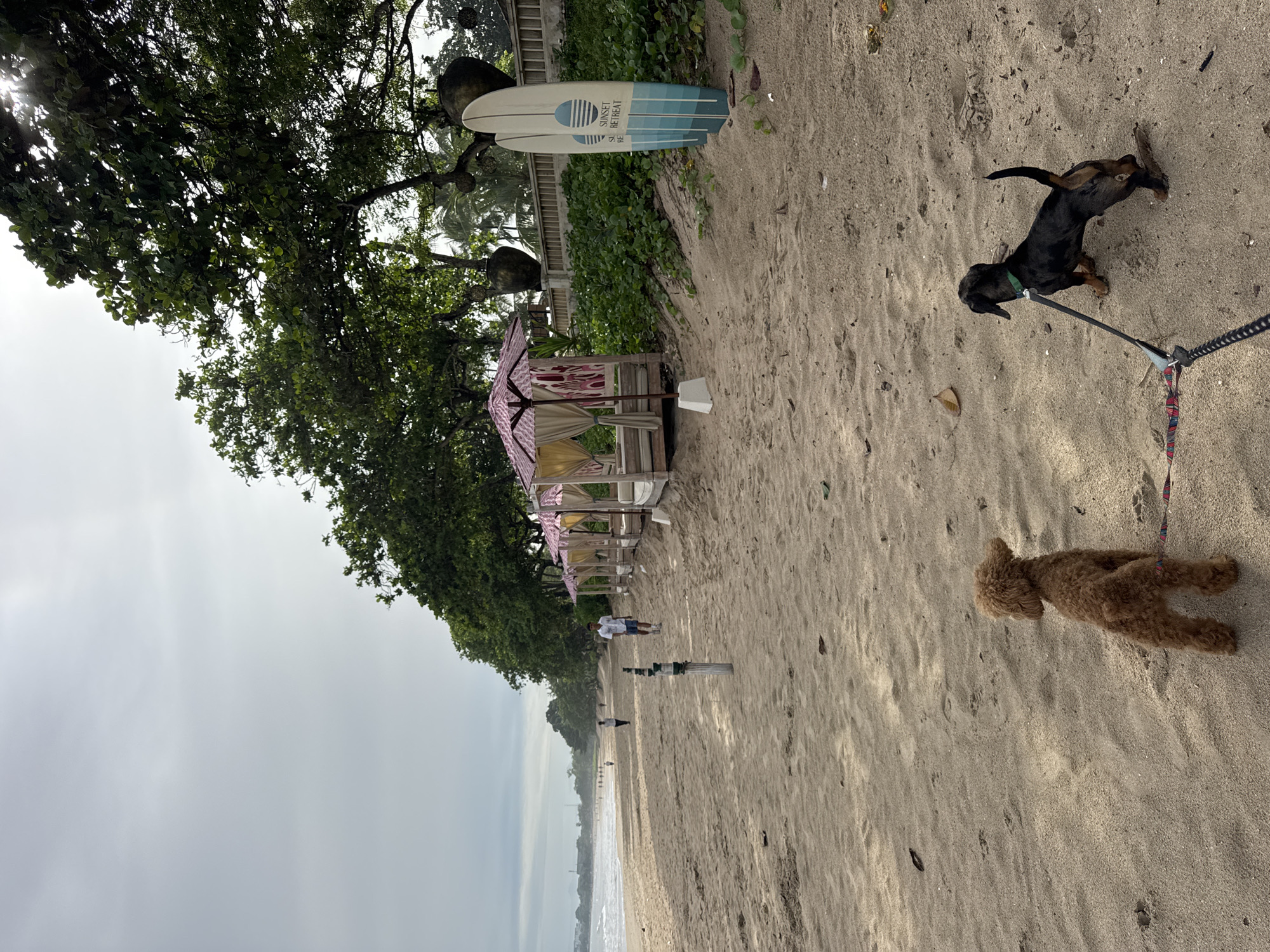 The image shows a beach scene in Kuta Selatan, Indonesia. A tan sandy beach stretches from the bottom to the top of the frame, meeting the ocean and a hazy sky. Two dogs, a small black and tan dachshund on a leash and a brown poodle, are in the foreground. Along the left edge of the beach, there is a row of beach huts or gazebos with pink and white patterned fabric. A surfboard labeled "Sunset Retreat" leans against the vegetation behind the first gazebo. People are visible in the distance along the beach. Trees with dense foliage overhang the beach and structures. The light suggests it is a cloudy day.