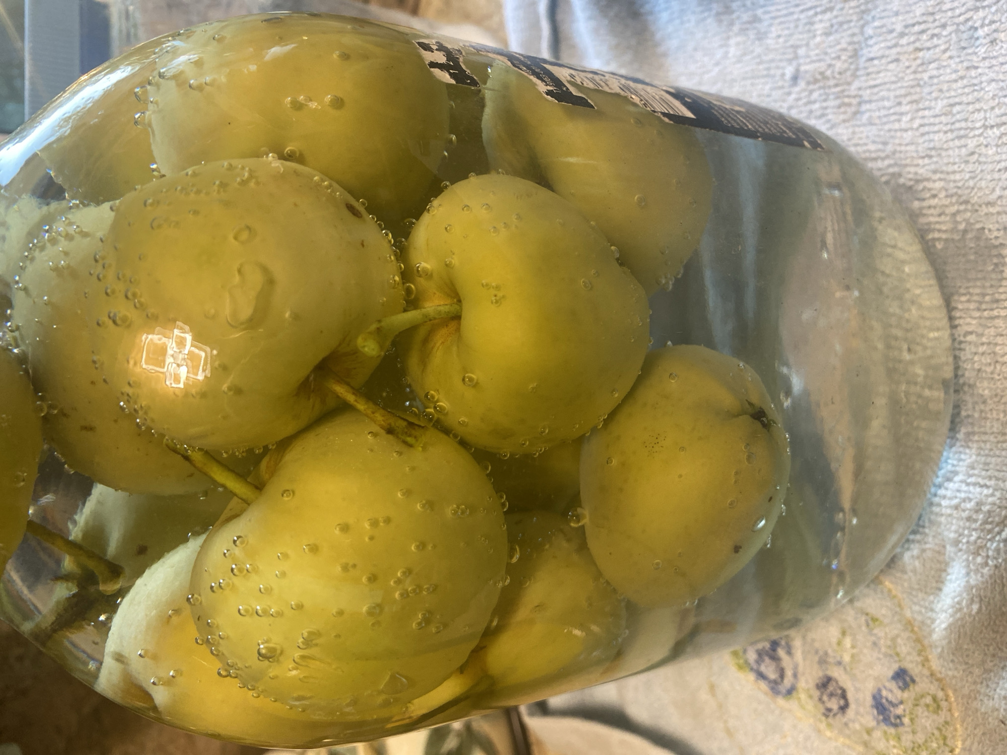 A close-up, eye-level shot shows a clear glass jar filled with pale green apples submerged in a light-colored liquid, likely water or brine. Bubbles cling to the surface of the apples and within the liquid, indicating some sort of fermentation or carbonation process. The apples are whole and appear to be small, possibly crabapples or a similar variety. The jar has a white label on the right side with some black text, partially obscured by the apples. The jar sits on a textured white cloth, possibly a towel, which has a faint blue floral pattern on the left side. The background is out of focus, but suggests an indoor setting with a countertop. The lighting is bright, creating reflections and highlights on the jar and apples. The overall impression is of food preservation or preparation. There are no people or animals visible in the image.