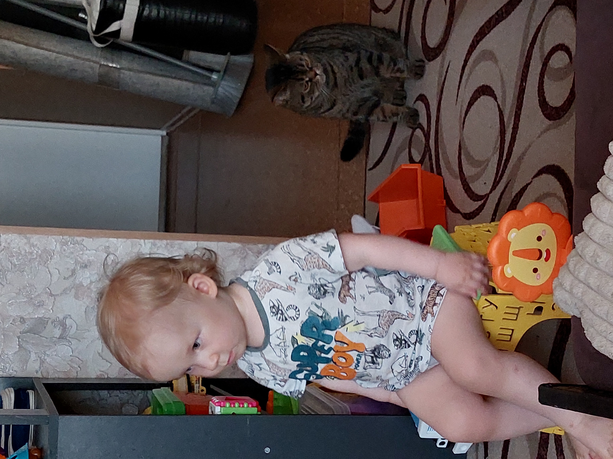 A young child is lying on a dark grey, possibly wooden, structure that appears to be a shelving unit or low cabinet. The child is wearing a light-colored T-shirt with a pattern of animals and the words "PLAY BOY" on it. The child is surrounded by various toys, including an orange lion-shaped toy and colored blocks.
In the background, a tabby cat is lying on a patterned rug with swirls of beige, white, and brown. Above the cat, there is what appears to be rolled-up gray material with black straps, possibly construction material or insulation.
The location is potentially a residence in the city of Chaikovsky, Russia.