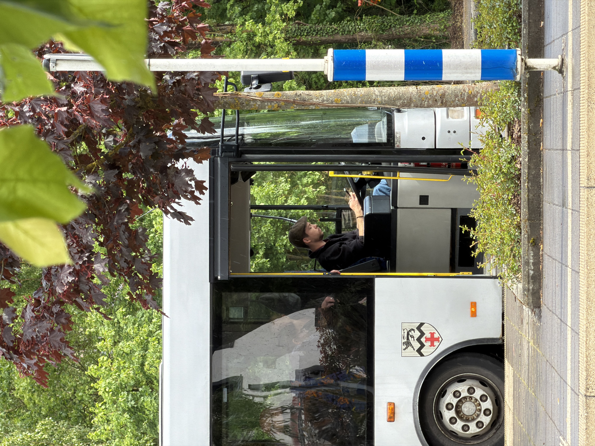 A light-gray city bus is parked on a sidewalk adjacent to a tree line in Esch-sur-Alzette, Luxembourg. A male driver wearing a dark baseball cap and dark clothing is seated in the driver's seat holding a phone. The bus is parked next to a striped blue and white barrier, near a brick sidewalk. A shield-shaped logo with a black dragon and a red cross is visible on the side of the bus. A tree with reddish-brown leaves obscures a portion of the upper left of the frame. The scene takes place during daylight.