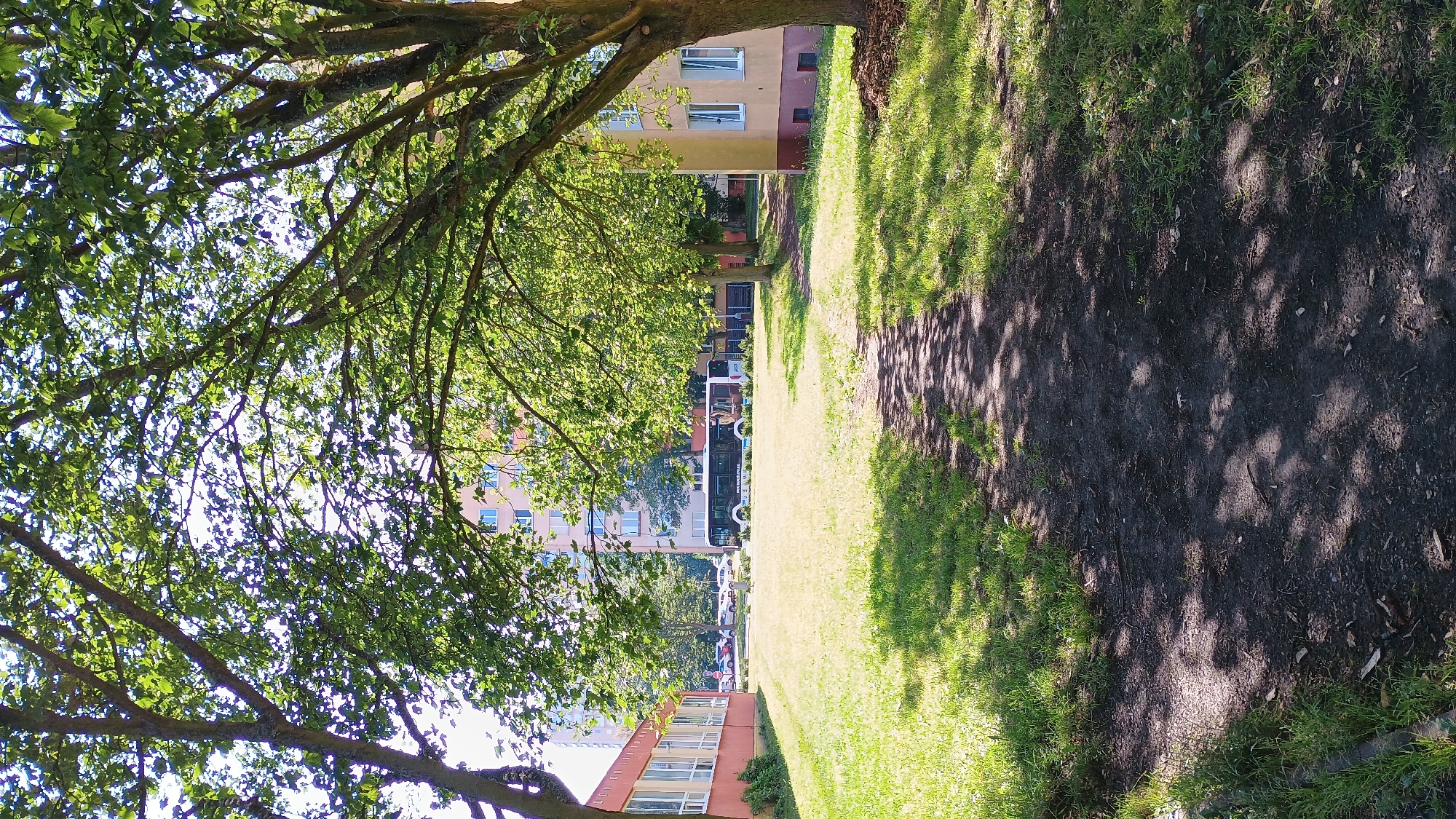This is a photograph taken outdoors on a sunny day, likely in a residential area of Sokolov, Czechia. In the foreground, a dirt path winds through a grassy area shaded by the leaves of mature trees. The path is partially covered by dappled sunlight and shadows. To the left, a low, salmon-colored building with white-framed windows is visible, appearing to be a single-story structure. Further back, several multi-story apartment buildings with light-colored facades and numerous windows dominate the background. Between the buildings, a dark-colored bus with white accents is parked on a street or parking area. The overall scene depicts a common urban or suburban landscape with residential buildings, green spaces, and trees.