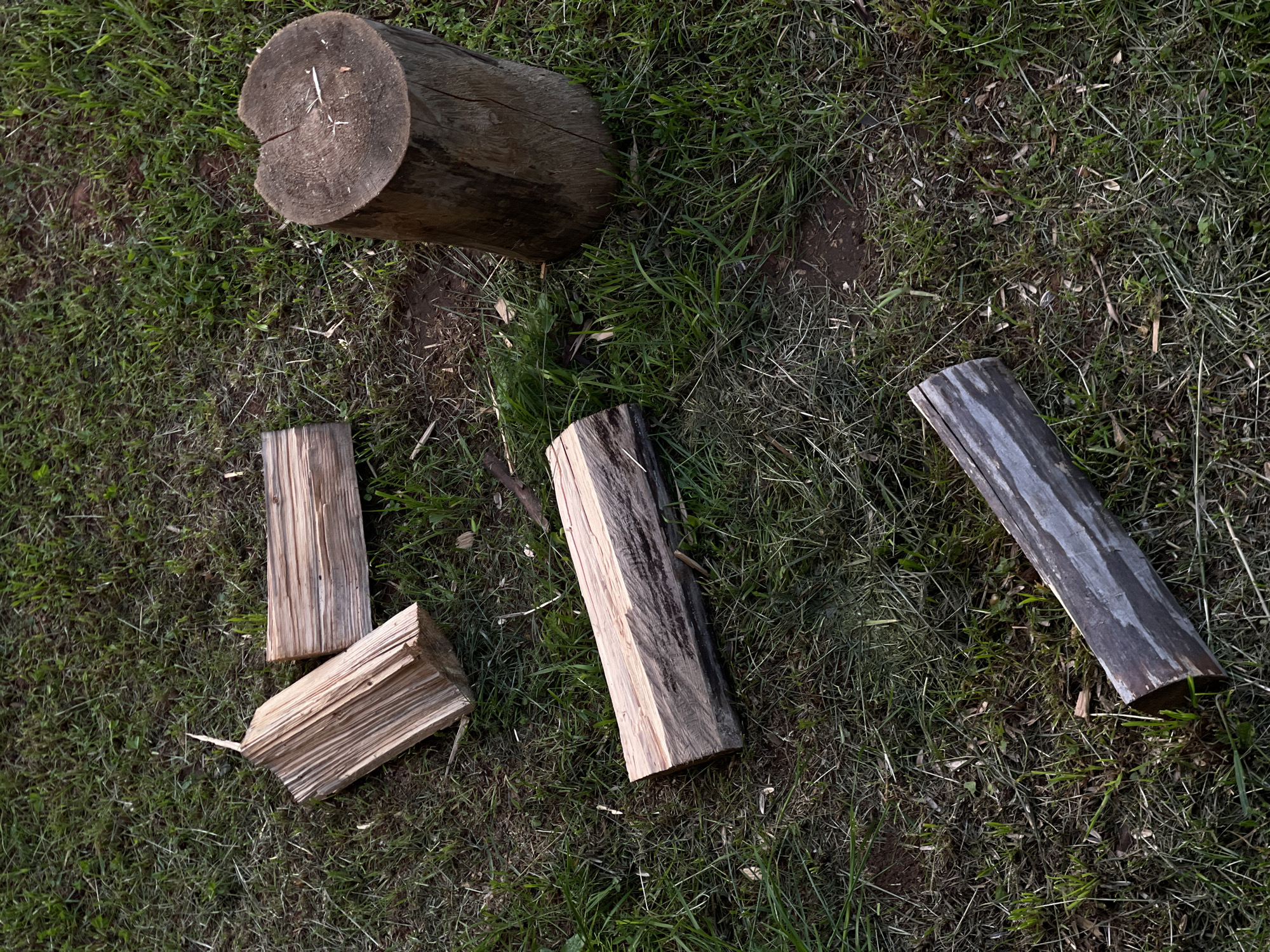 Five pieces of chopped wood are scattered on a grassy area. The largest piece is a thick log standing upright on its end, its top surface showing growth rings. The other four pieces are smaller logs or branches, lying horizontally on the ground. One of these, also a thick section, is positioned near the upright log. The remaining three are thinner and are spread out in different directions on the grass. The grass is a mix of green and dry blades, with some patches of bare earth visible. The lighting suggests it is daytime, with shadows cast by the wood and grass.