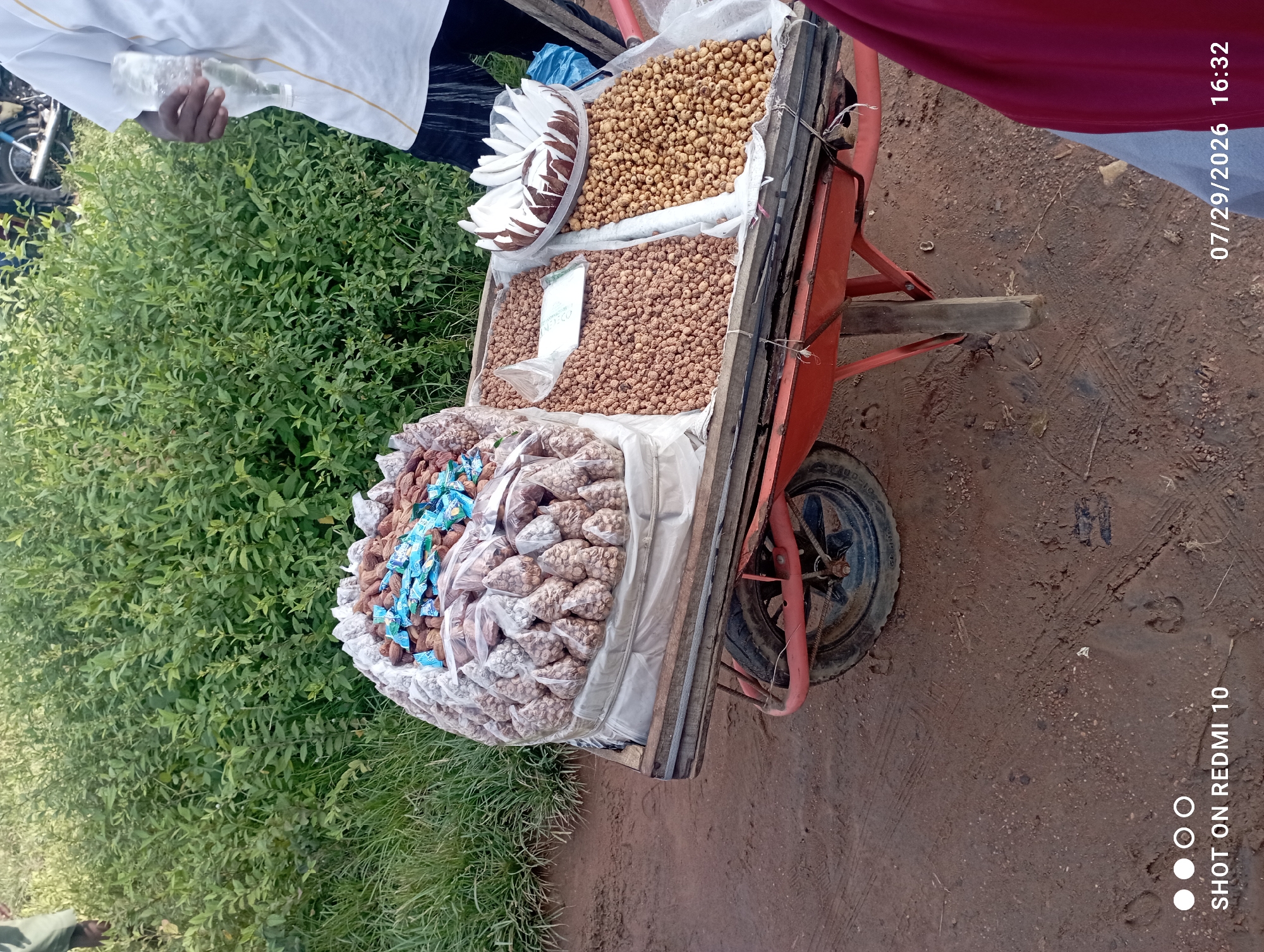 In Serti, Nigeria, a vendor operates a mobile cart laden with various nuts and dried goods. The cart itself is a red-wheeled, wooden contraption, likely used for transport and display in the bustling market environment. In the foreground, the earthy, red-brown terrain is marked with tire tracks and subtle imprints, suggesting a well-trodden path within the town.
The cart is covered with a large, white sheet, on which a substantial quantity of nuts is displayed. These are packaged in transparent plastic bags of various sizes, some small and individually wrapped, others larger and containing multiple servings. The nuts themselves vary in color and shape, with some appearing as whole, shelled specimens and others as more processed or broken pieces. Interspersed among the nuts are small, bright blue plastic wrappers, likely indicating a specific brand or type of snack.
To the right of the main nut display, the cart features two distinct compartments. One holds a pile of small, brown nuts or seeds, appearing to be unbagged and sold in bulk. Adjacent to this, another compartment contains smaller, lighter-colored nuts or seeds, also displayed loosely. A white paper or plastic packet rests atop the brown nuts in this section. Further to the right, a decorative element made of white and brown shredded material, possibly coconut, is presented in a clear plastic bowl.
A person, partially visible from the torso down, stands to the right of the cart, holding a clear plastic water bottle. They are wearing a white t-shirt with a subtle yellow trim and dark trousers or shorts. Their stance and the position of the bottle suggest they may be attending to customers or managing their stall. The background is dominated by lush, green vegetation, indicating an outdoor setting, likely on the outskirts of Serti, where market activities often blend with the natural environment. The image is dated "07/29/2026" and the time is "16:32", captured by a "SHOT ON REDMI 10" device.