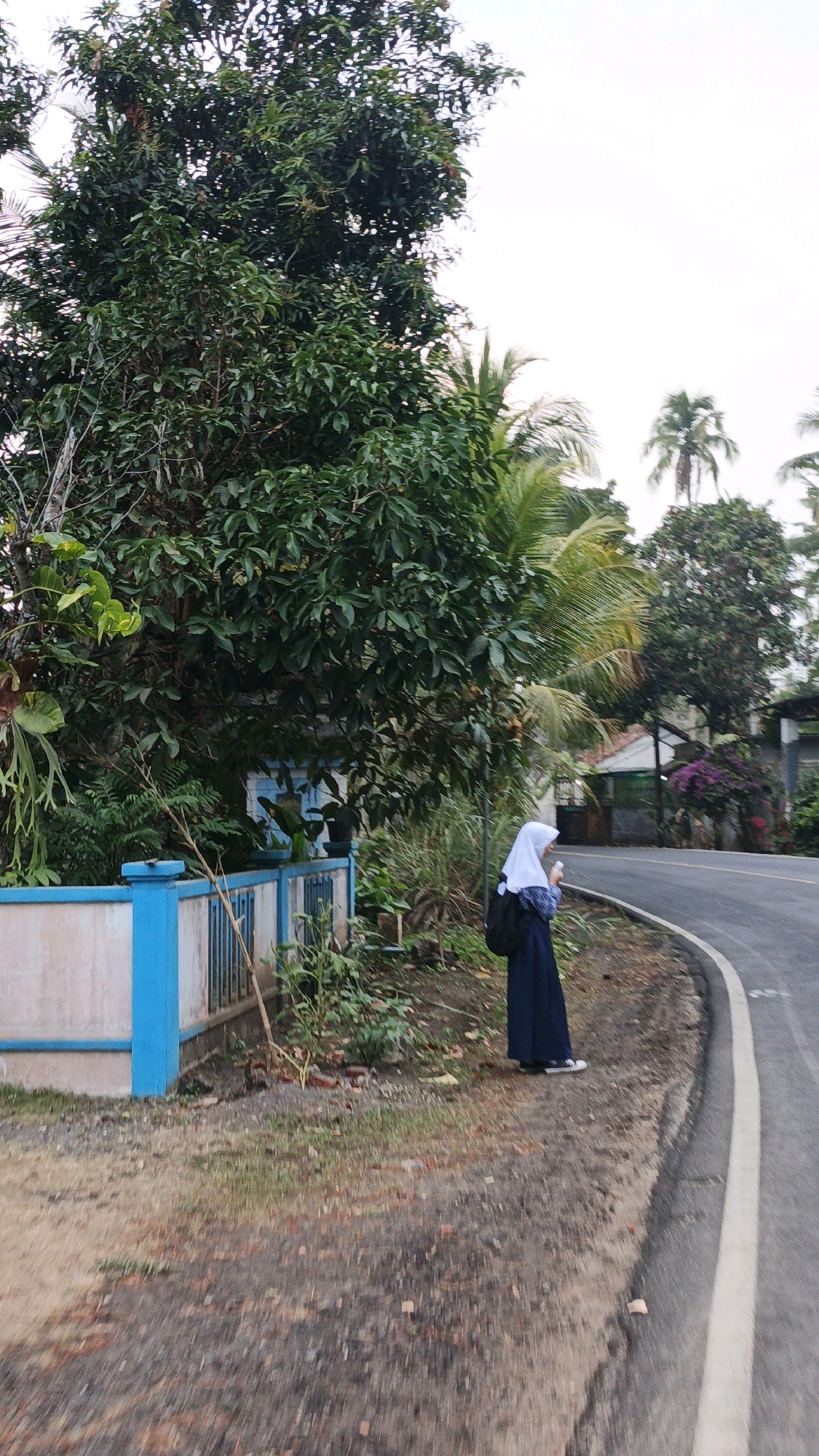 A young person wearing a white hijab and a dark blue skirt stands on the side of a paved road in Sukaresik, Indonesia. The individual is holding a light-colored object in their right hand. To the left of the person, a low wall with blue accents and vertical bars runs along the roadside, partially obscured by lush green foliage and trees. A larger tree with dense leaves is prominent on the left side of the frame. In the background, several houses and palm trees are visible, suggesting a semi-rural or suburban setting. The road curves to the right, with a white line marking its edge. The ground is covered with gravel and sparse vegetation.