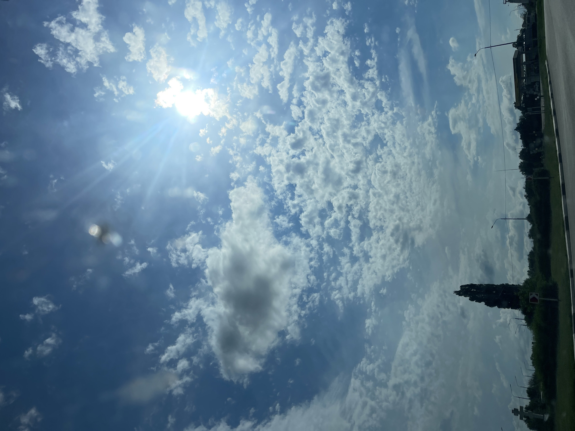 The image shows a bright, sunny sky with scattered clouds. The sun is the dominant subject, shining brightly in the upper left corner with visible rays and lens flare. The clouds range from wispy cirrus formations to larger cumulus clouds. In the foreground, the scene appears to be taken from a moving vehicle, indicated by the blurred elements and the perspective.
To the right, a road or paved surface is visible, bordered by a grassy area and a line of trees. There are several streetlights and a traffic sign with a red arrow on it, suggesting an urban or suburban environment. A tall, dark, conical tree stands out against the sky and clouds. The overall impression is of a daytime scene, possibly late morning or early afternoon, with fair weather. The presence of a road, streetlights, and traffic signs points to a location in a developed area. The image is oriented vertically, as if the camera was held upright. There is no visible text in the image.