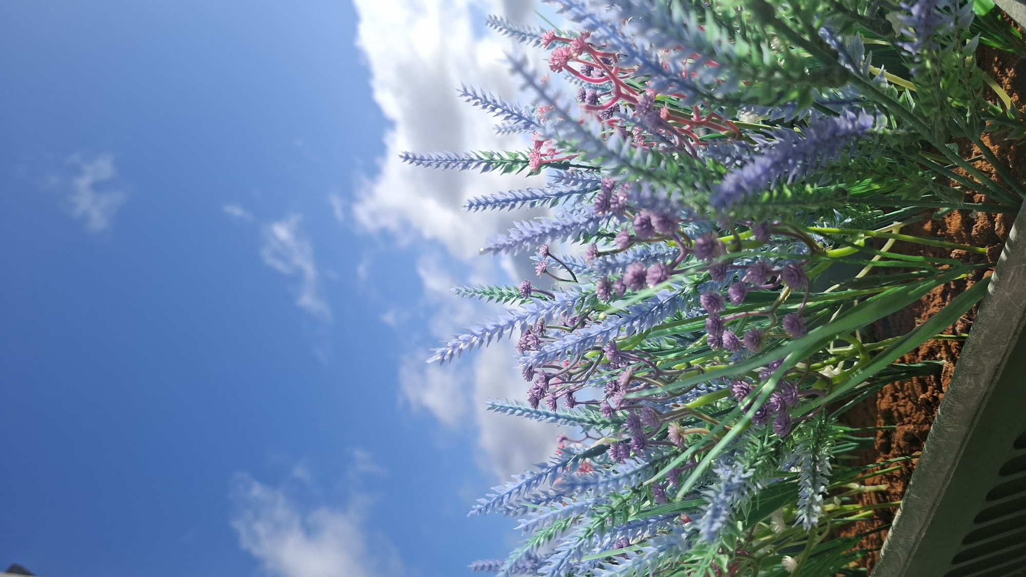The image shows a close-up view of artificial lavender and small purple flowers in a planter against a bright blue sky with scattered white clouds. The bottom of the image displays the planter containing brown soil and the bases of the artificial plants. The plants are mostly in shades of purple and blue, with green stems. The sky occupies the upper two-thirds of the image. There are no people or animals visible in the image, and no specific landmarks are identifiable to indicate a location in Tallinn, Estonia.