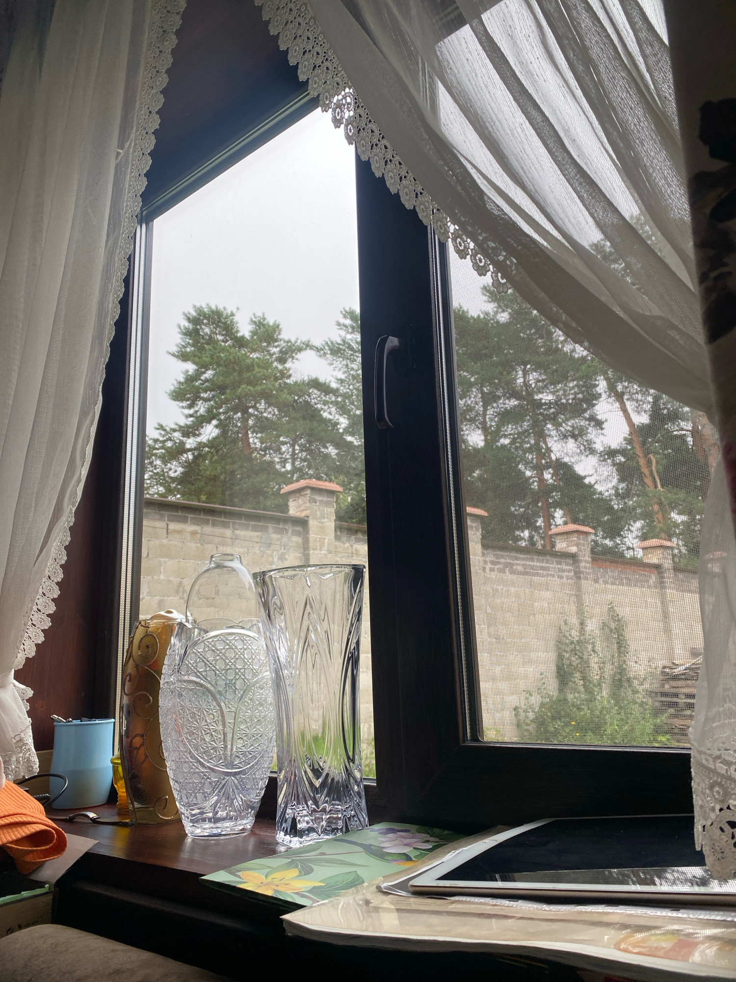 This image captures a close-up view through a window, looking outwards. On the interior windowsill, there are several decorative glass vases. One vase on the left is a golden color with an intricate pattern. Next to it is a clear crystal vase with a detailed, etched design. To the right of that is another clear glass vase with a fluted, ribbed texture. To the left of the vases, a light blue cylindrical container is visible, and beside it, an orange fabric item is partially seen. In the foreground, on a surface that appears to be a desk or table, a tablet computer is positioned horizontally, with its screen reflecting light.
The exterior view through the window reveals a gray, overcast sky and a dense cluster of tall pine trees. In front of the trees, there is a stone wall with decorative, capped pillars along its length. A fine mesh screen is visible across the window, slightly obscuring the outdoor scene. The scene appears to be from a residential setting, possibly a home or dacha, with the presence of curtains and the arrangement of decorative items.
The provided information about the city of Perm, Russia, is not visually supported by the image content. There are no specific landmarks or contextual clues within the photograph that would allow for its identification as being located in Perm, Russia.