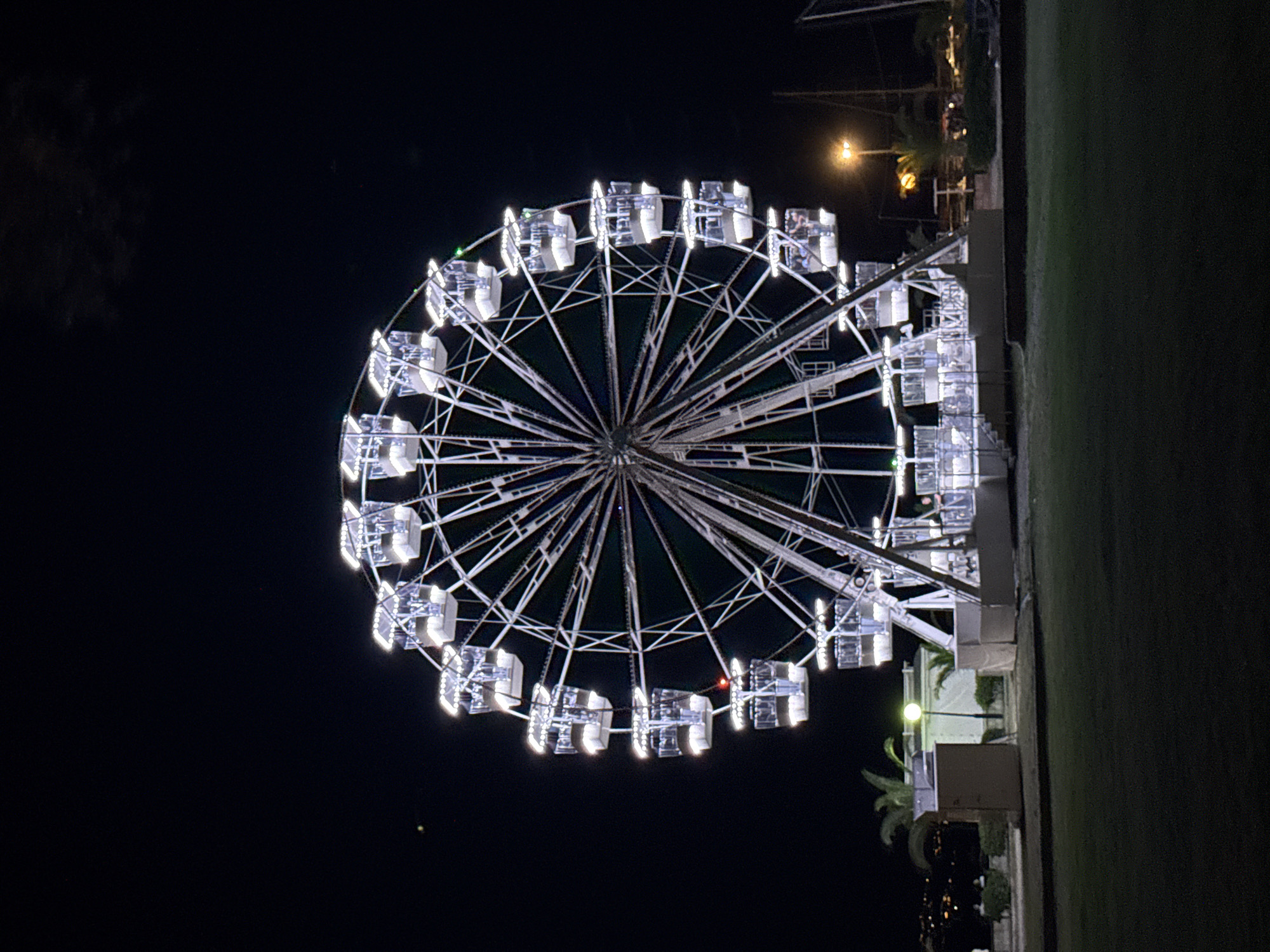 A brightly lit Ferris wheel dominates the dark night sky in Budva, Montenegro. The wheel, adorned with white lights, has numerous enclosed cabins, many of which appear occupied by people. In the foreground, a neatly mowed green lawn slopes away from the viewer. Behind the Ferris wheel, a low, tan-colored structure is visible, possibly a ticket booth or concession stand, with palm trees and other vegetation around it. Further in the background, distant city lights twinkle, suggesting the presence of a populated area. A single streetlamp with a yellow glow illuminates a portion of the scene behind the Ferris wheel.
