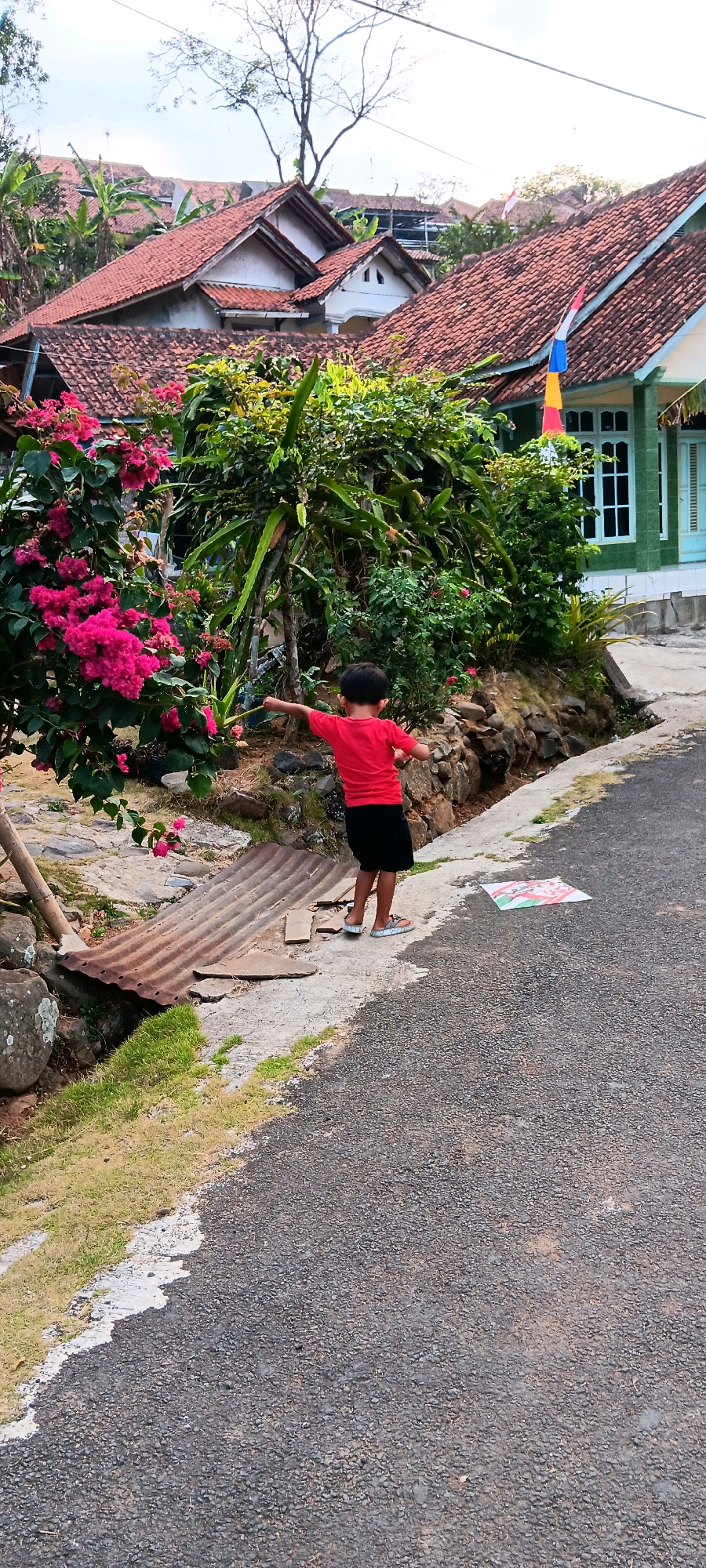 A young boy in a red t-shirt and black shorts is standing on a paved road in Cingambul, Indonesia, near a ditch. He is reaching out towards a bush with pink flowers. A sheet of corrugated metal is in the ditch next to him. In the background, there are houses with red tile roofs and lush green vegetation. There is also a kite on the ground near the boy. The sky is partly cloudy.