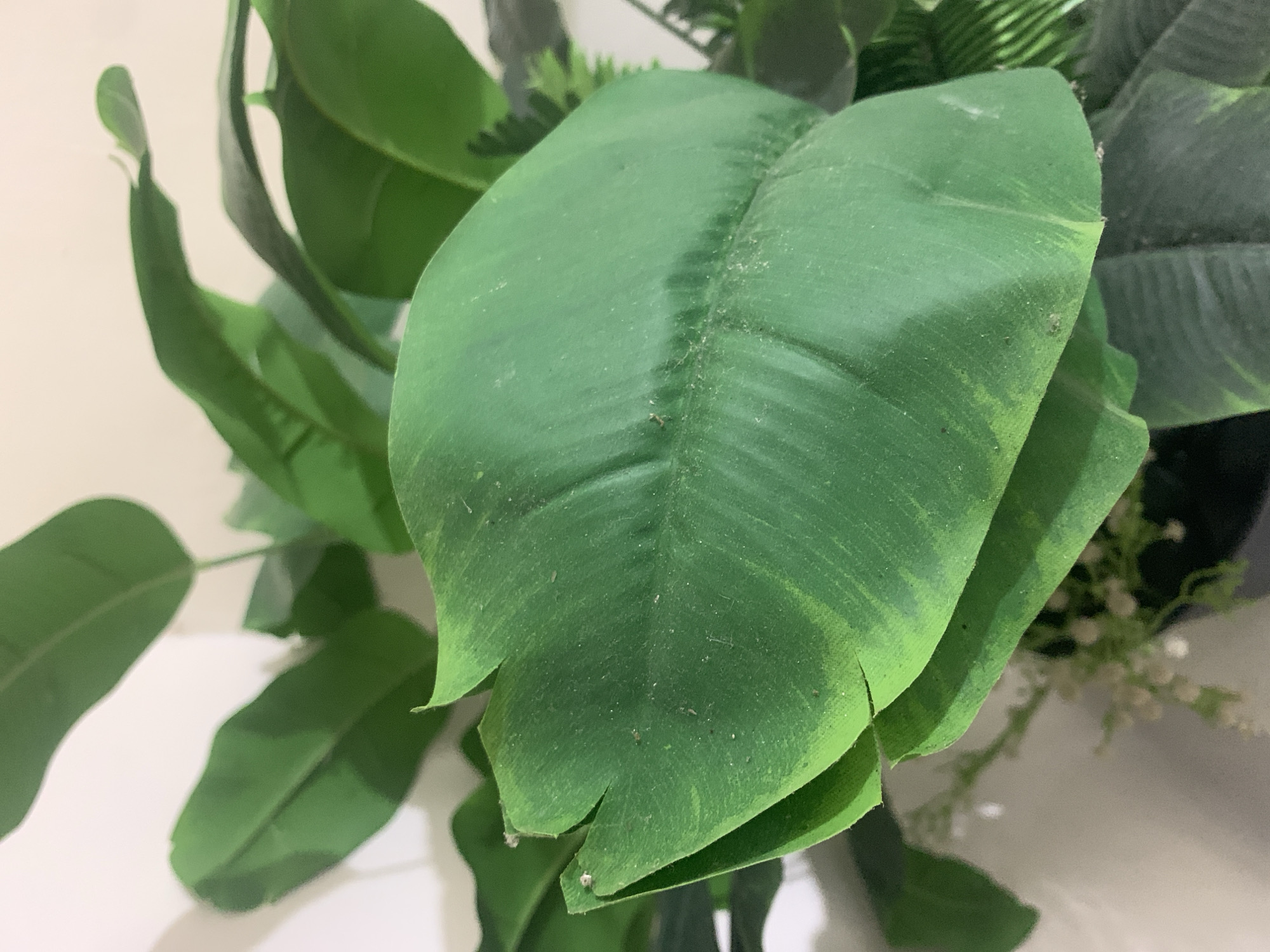 A close-up, eye-level shot focuses on the vibrant green leaves of a plant, likely an artificial one, against a plain, light-colored wall. The leaves are broad and exhibit visible veins, with some showing signs of dust or wear, particularly on the largest, most prominent leaf in the foreground. The lighting casts subtle shadows on the leaves and the wall, suggesting an indoor setting. The overall scene is static and devoid of human presence. The image does not contain any information that would allow for its location to be determined in Kuala Pembuang, Indonesia.