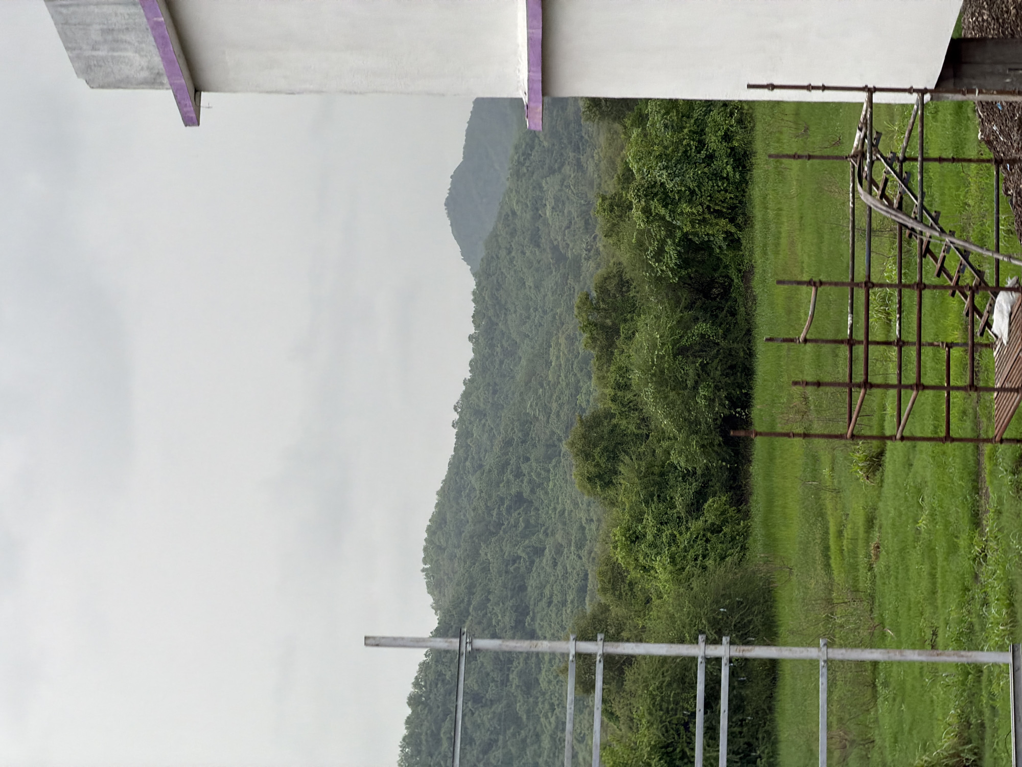 The image captures an overcast day scene in Vasai-Virar, India, featuring a lush green landscape juxtaposed with elements of construction. In the foreground, scaffolding made of rusted metal poles and horizontal bars is visible, with a wooden ladder section attached. To the right, a portion of a white building with a purple trim along its upper edge occupies the frame. A tall, slender metal pole stands to the left, with horizontal metal bars extending from it, suggesting it's part of a larger structure or utility pole.
Behind the immediate foreground, a wide expanse of vibrant green grass stretches out, dotted with scattered dry vegetation and small shrubs. Further back, a dense forest of trees with rich green foliage covers rolling hills, culminating in a backdrop of misty, layered mountains under a light gray, cloudy sky. The overall impression is one of a natural environment adjacent to ongoing construction work.