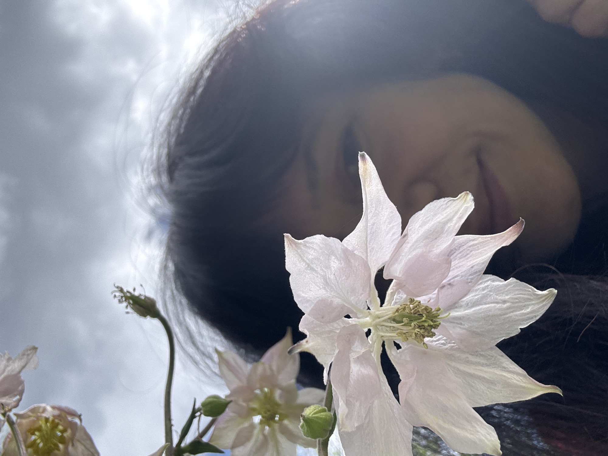 A person with dark hair is looking down at a flower from a low angle. The flower is white with a green center and delicate petals. In the background is a cloudy sky. The person's face is partially visible and slightly out of focus. Another flower bud is visible in the bottom left. The location is not discernible from the image. It is not possible to determine if the image was taken in Chaikovsky, Russia based on the visual content.