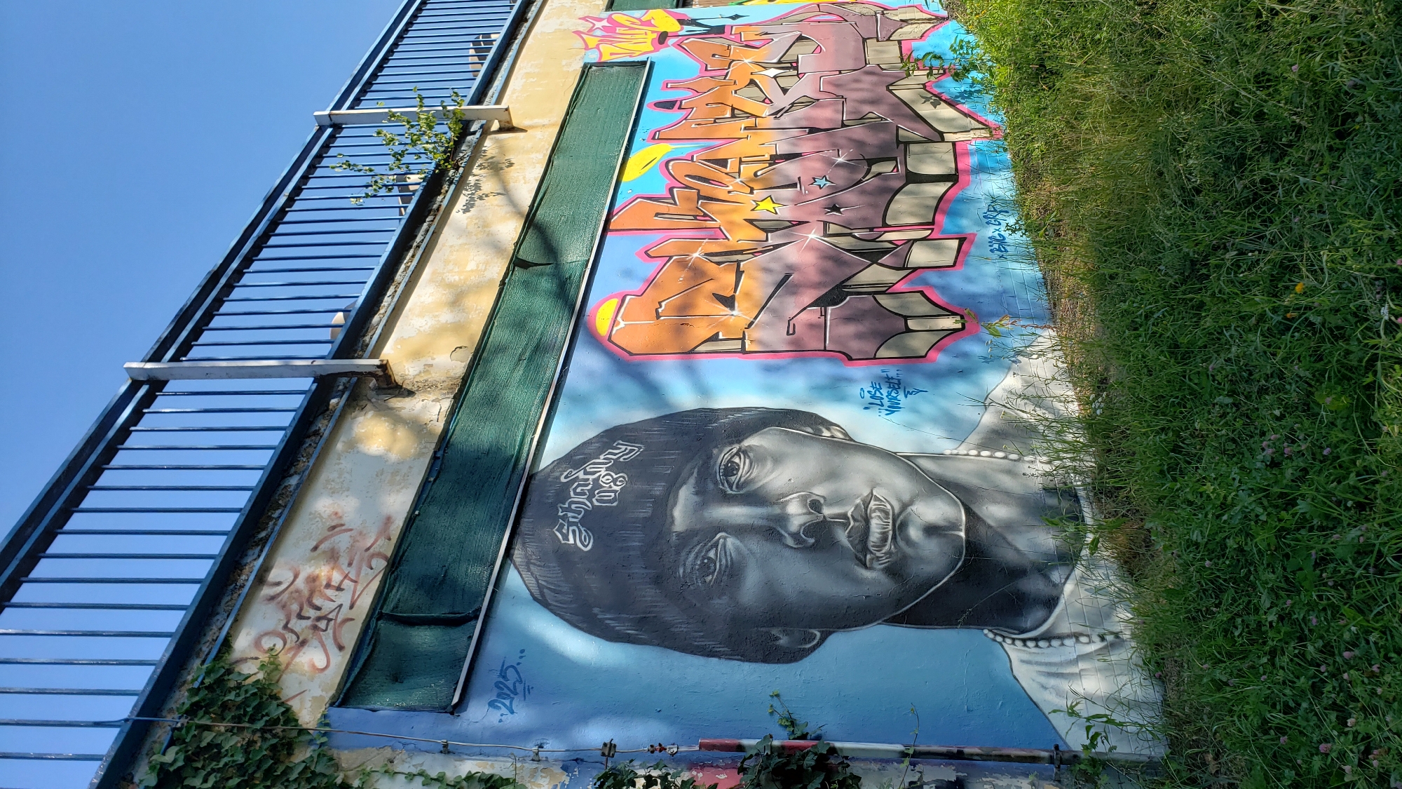 A mural of rapper Eminem is painted on a blue wall beneath a pedestrian bridge in Prešov, Slovakia. The mural depicts Eminem from the shoulders up, wearing a beanie with "Shady" written on it and a pearl necklace. To the right of the portrait is graffiti in orange, pink, and purple lettering. A vine creeps down the left side of the wall. The area is overgrown with green grass and some small flowering plants in the foreground. The sky is clear and blue.