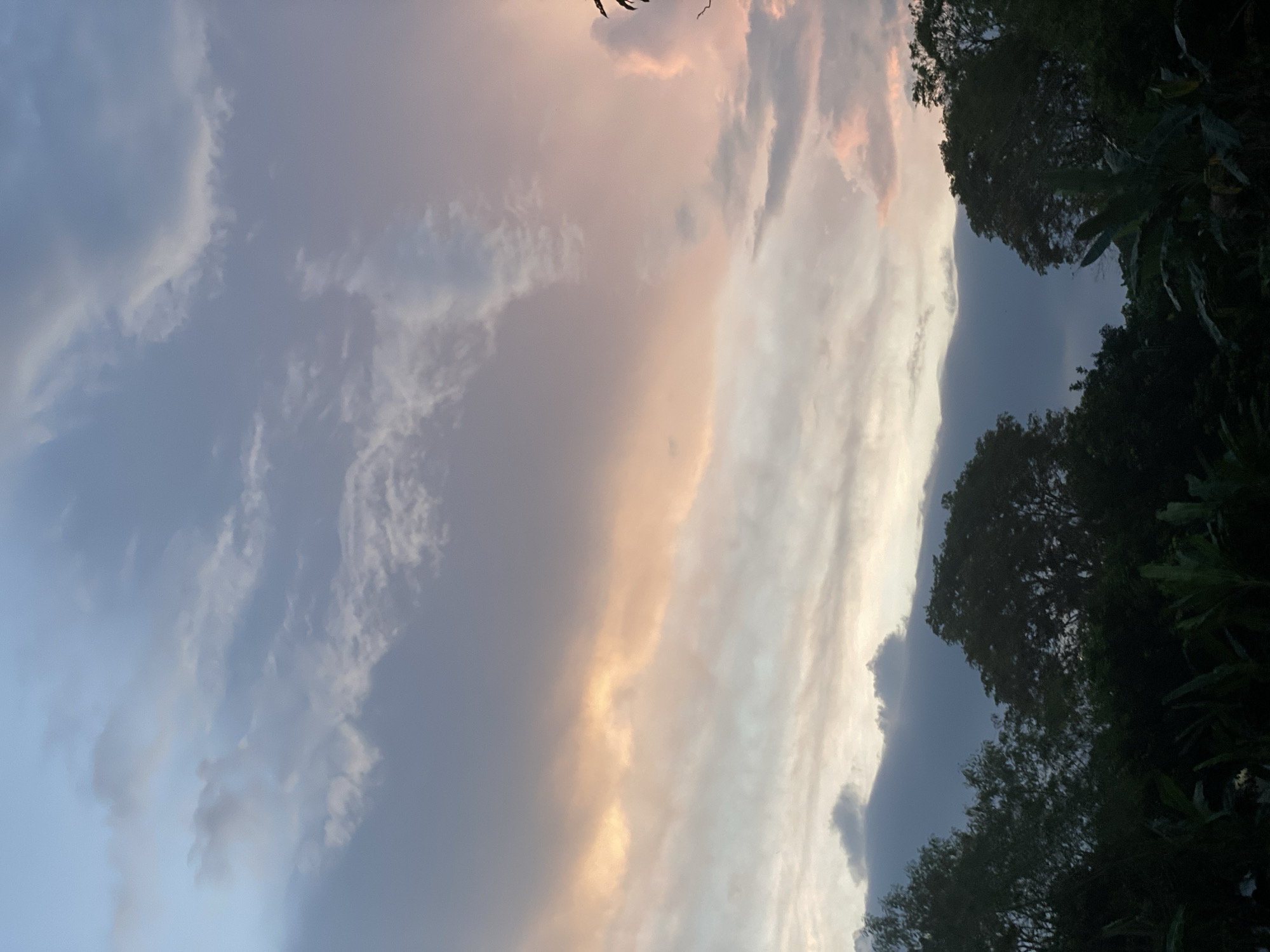 This is a vertical, full-frame photograph of a twilight sky above a dark silhouette of trees and foliage. The sky transitions from a light blue at the top to shades of pink, orange, and gray near the horizon, indicating the setting sun. Wispy clouds are scattered across the sky, with a band of brightly lit orange clouds running horizontally across the middle of the frame. The foreground is dominated by the dark shapes of trees, some with broad leaves, suggesting tropical vegetation. The scene appears to be captured from a residential area or a park in Banjarbaru, Indonesia, given the lush greenery and the typical cloud formations observed in the region during sunset. No people or animals are visible in the image. The overall mood is serene and contemplative.