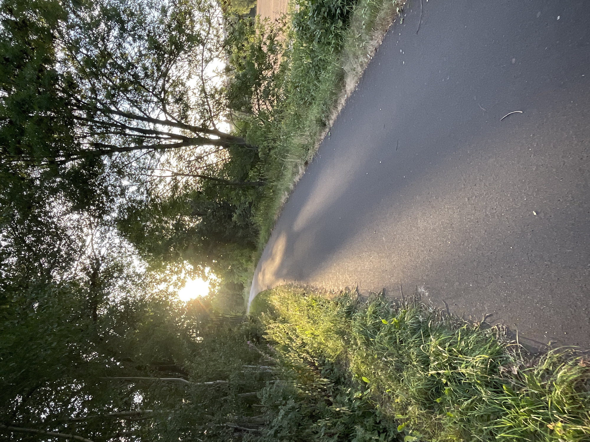 A paved path curves through a sun-dappled landscape. Sunlight streams through the leaves of trees on the left, casting long shadows across the path. Lush green grass and vegetation line the edge of the path, with a glimpse of a cultivated field in the distance on the right. The scene appears to be in a rural or park-like setting, possibly on the outskirts of Neukirchen, Germany, given the quality of light and vegetation. No people or animals are visible.