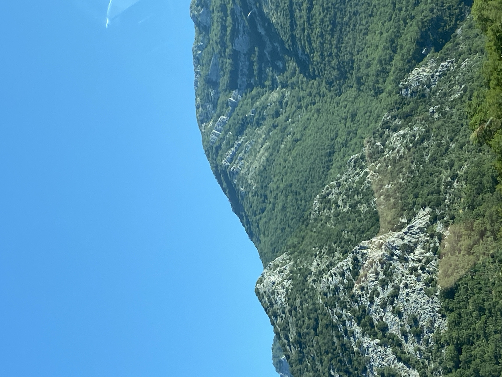 The image depicts a vast mountain range under a clear blue sky. The mountains are densely covered with green trees, with rocky outcrops and sheer cliffs visible in some areas. The terrain appears rugged and steep. The scene is devoid of any people, animals, or man-made structures, suggesting a natural, undeveloped landscape. The lighting indicates it is daytime, with sunlight illuminating the mountainside. The overall impression is one of natural beauty and wilderness. The location is Đurmani, Montenegro.
