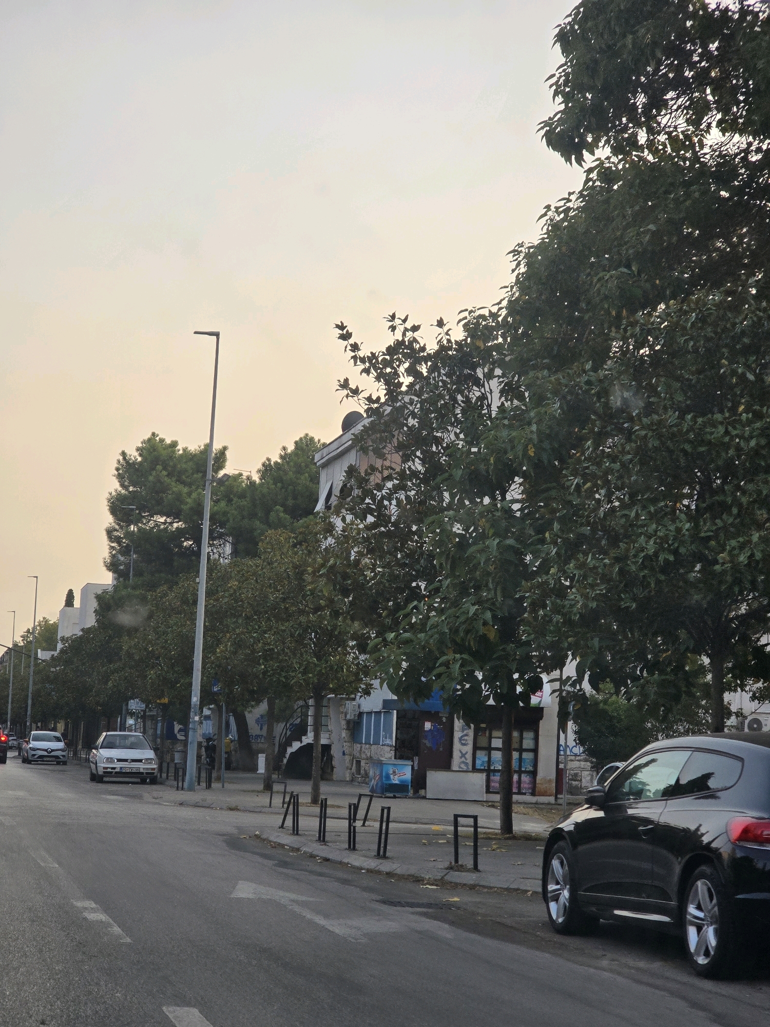 A street scene in Podgorica, Montenegro, shows a row of buildings and trees lining a road. The sky is overcast with a yellowish hue. In the foreground, a black Volkswagen Scirocco is parked on the right side of the road. Further down the street, a white Volkswagen Golf is also parked. Several other cars are visible in the distance, moving along the road. The buildings appear to be commercial or residential, with storefronts and windows visible. Trees with dark green foliage are interspersed along the sidewalk and in front of the buildings. A lamppost stands on the right side of the road, and bollards are positioned along the sidewalk. The road has white lane markings, including an arrow indicating a left turn. The overall impression is of an urban street scene during the day, possibly late afternoon or early evening, given the soft lighting.