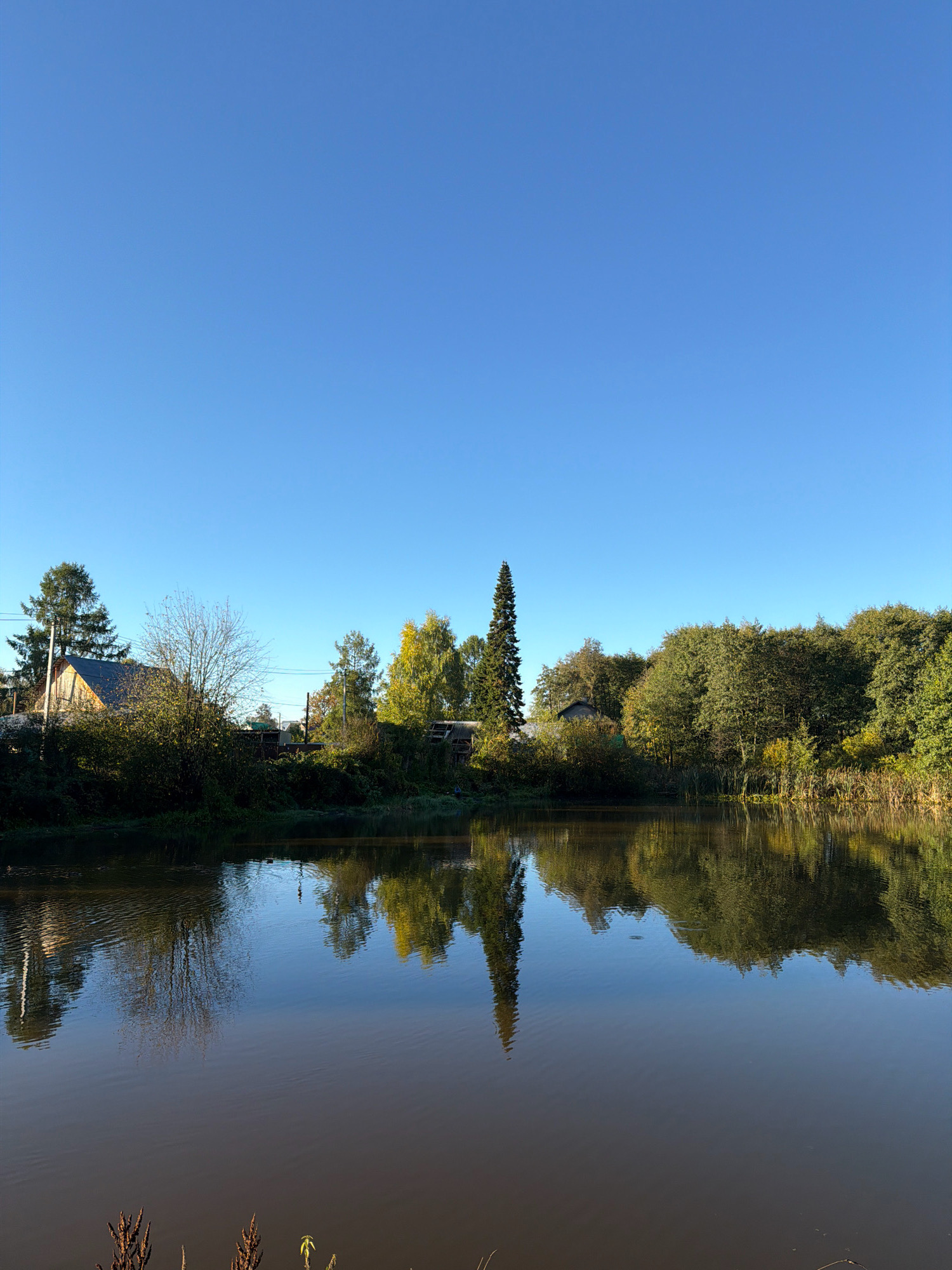 The image shows a tranquil body of water, likely a lake or river, reflecting the clear blue sky and a line of trees and buildings on the opposite bank. The vegetation appears to be a mix of evergreen and deciduous trees, with some showing autumnal colors. A few structures, possibly houses or outbuildings, are visible nestled amongst the trees. The water's surface is relatively calm, with subtle ripples disrupting the otherwise perfect reflection. The overall impression is one of a serene rural or semi-rural landscape, possibly located near the city of Chaikovsky, Russia, given the context of the prompt.