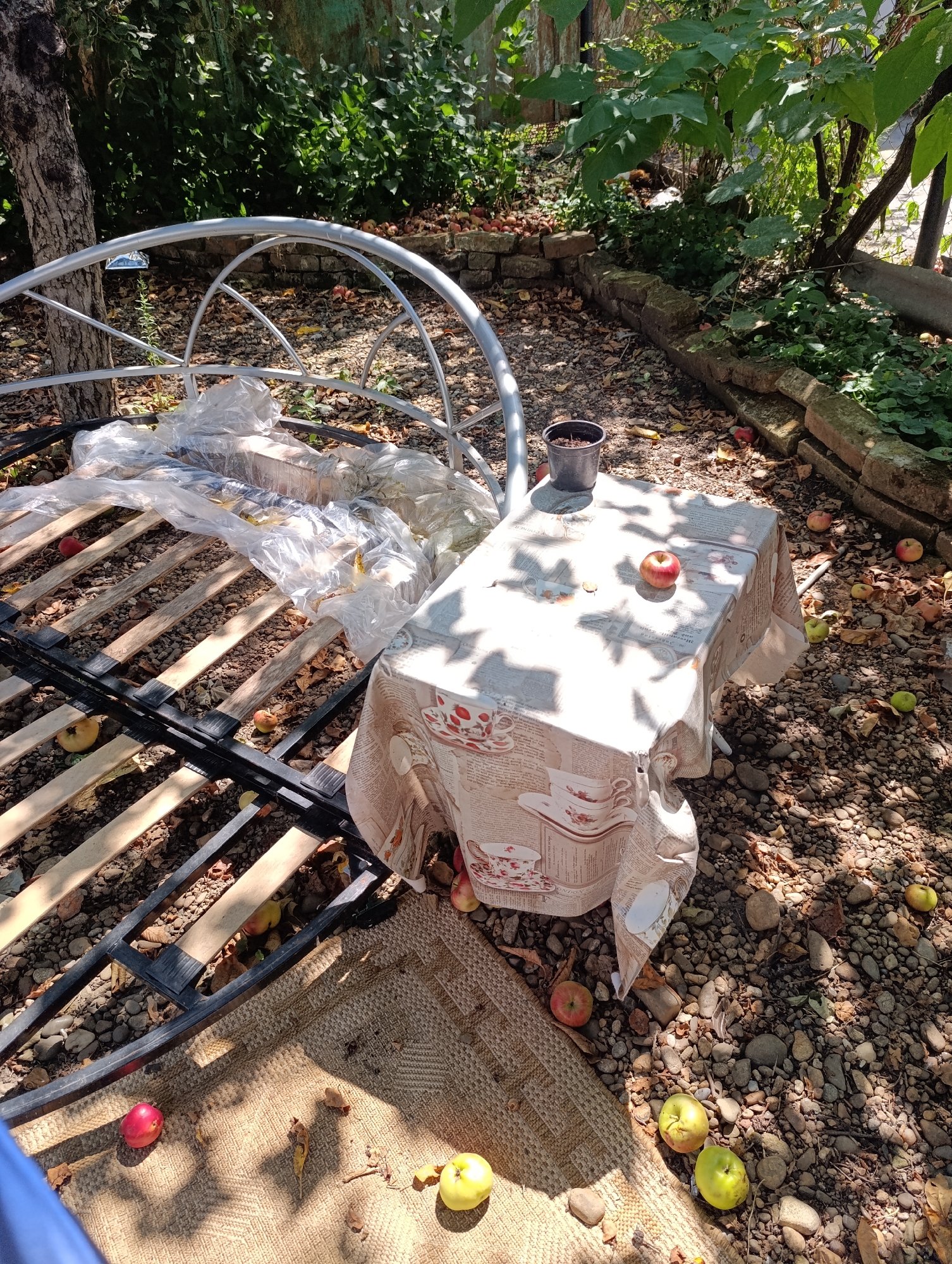 In Zaliznyi, Russia, an outdoor scene depicts a disused metal bed frame with wooden slats, partially covered in plastic sheeting, situated on a gravel and leaf-strewn ground. To the right of the bed frame, a small table is set with a tablecloth patterned with teacups and text. Several apples are scattered around the table and on the ground, with a single apple resting on the table. A dark pot with soil sits on the ground near the table. In the background, dense green foliage and trees are visible, with a low stone wall partially obscured by vegetation. The overall impression is one of an abandoned or neglected outdoor space.