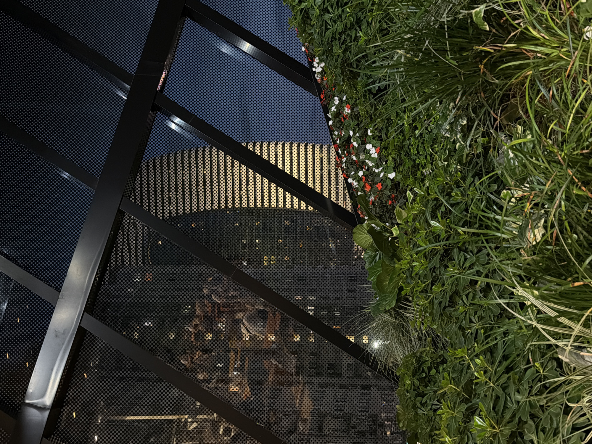 The image depicts a nighttime view through a metal grate structure in Batumi, Georgia. In the foreground, lush green plants and small red and white flowers are visible, creating a dense natural barrier. Beyond the foliage and the grate, a brightly lit skyscraper stands tall, its facade illuminated with horizontal bands of light. The sky is dark, indicating it is nighttime. The metal grate has a repeating circular pattern and is supported by dark, angular beams. Some blurred figures are discernible through the grate in the mid-ground, appearing to be indoors or in a sheltered area. The overall impression is a juxtaposition of nature and urban architecture, viewed from an elevated or sheltered vantage point.