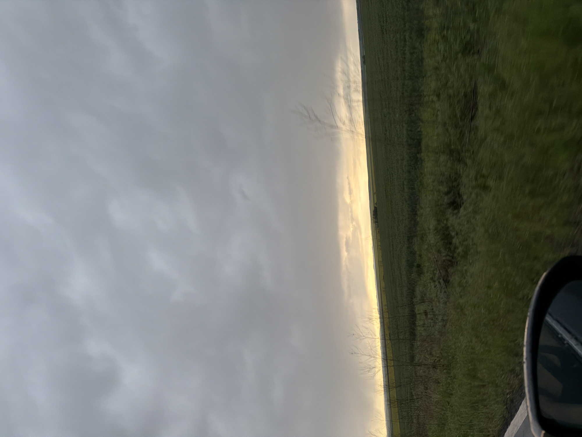 The image shows a view from a moving vehicle. On the right is a field of green vegetation. The left side of the image shows a cloudy sky with a band of light on the horizon. The side mirror of the car is partially visible in the lower right corner. The location is Trastikovo, Bulgaria.